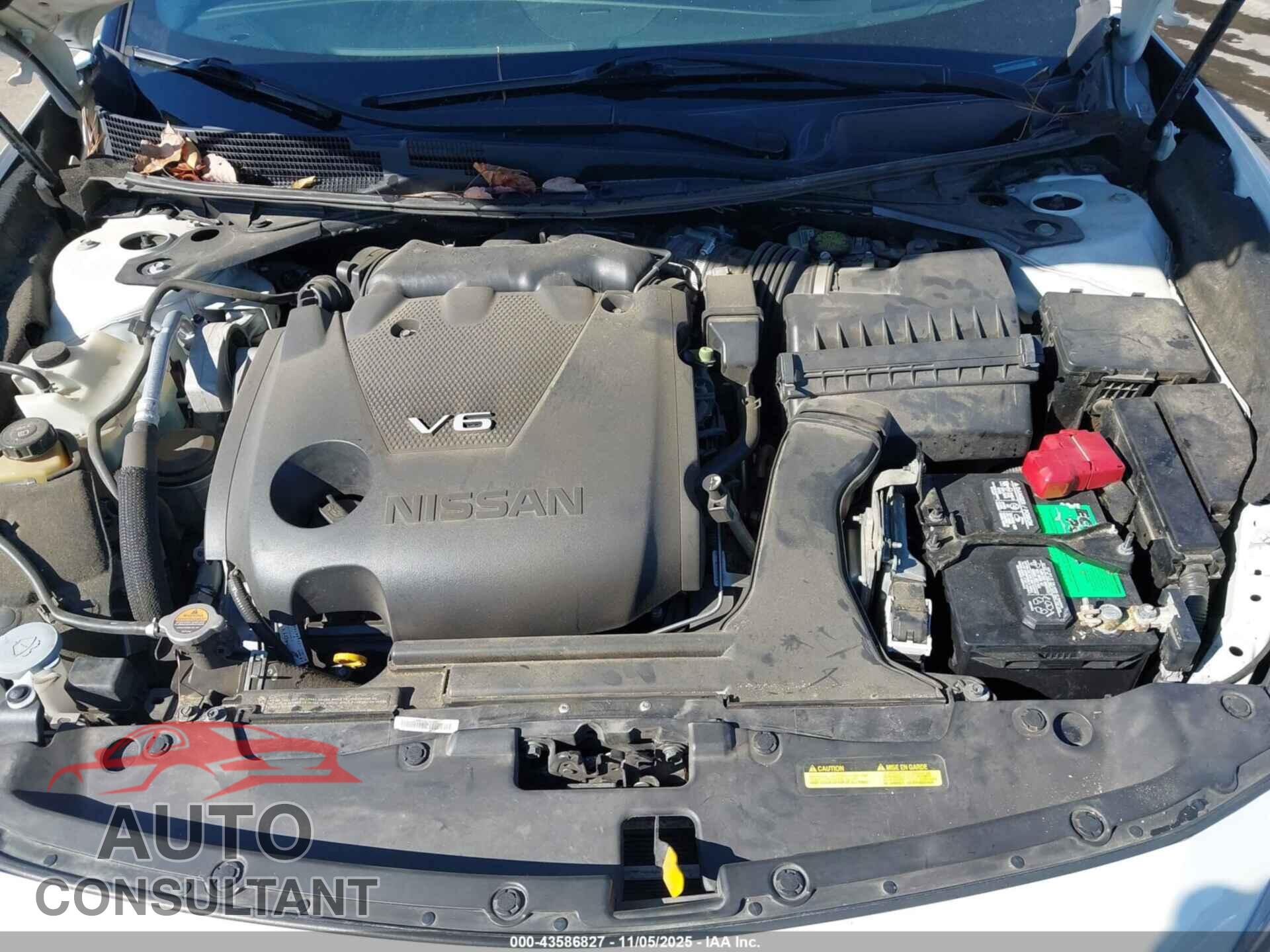 NISSAN MAXIMA 2017 - 1N4AA6AP1HC440048