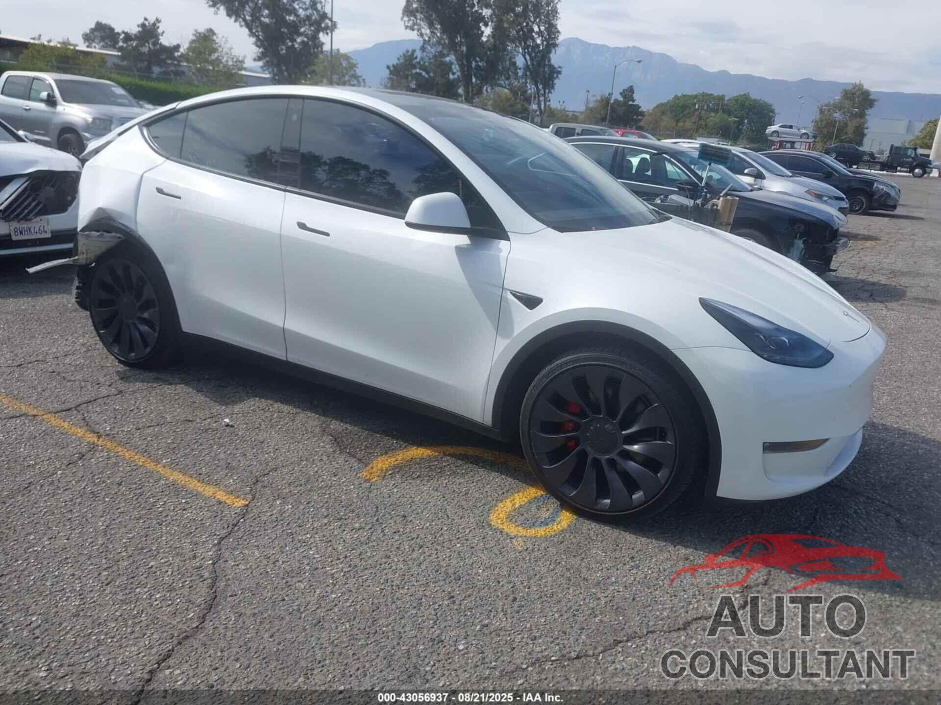 TESLA MODEL Y 2023 - 7SAYGDEF4PF753774