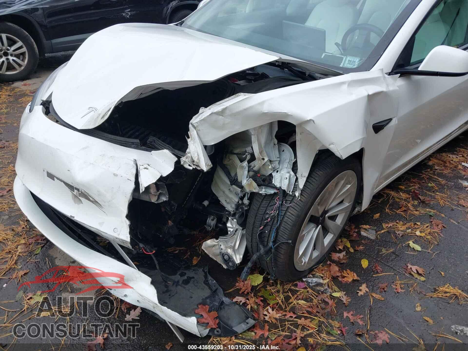TESLA MODEL 3 2021 - 5YJ3E1EAXMF020558