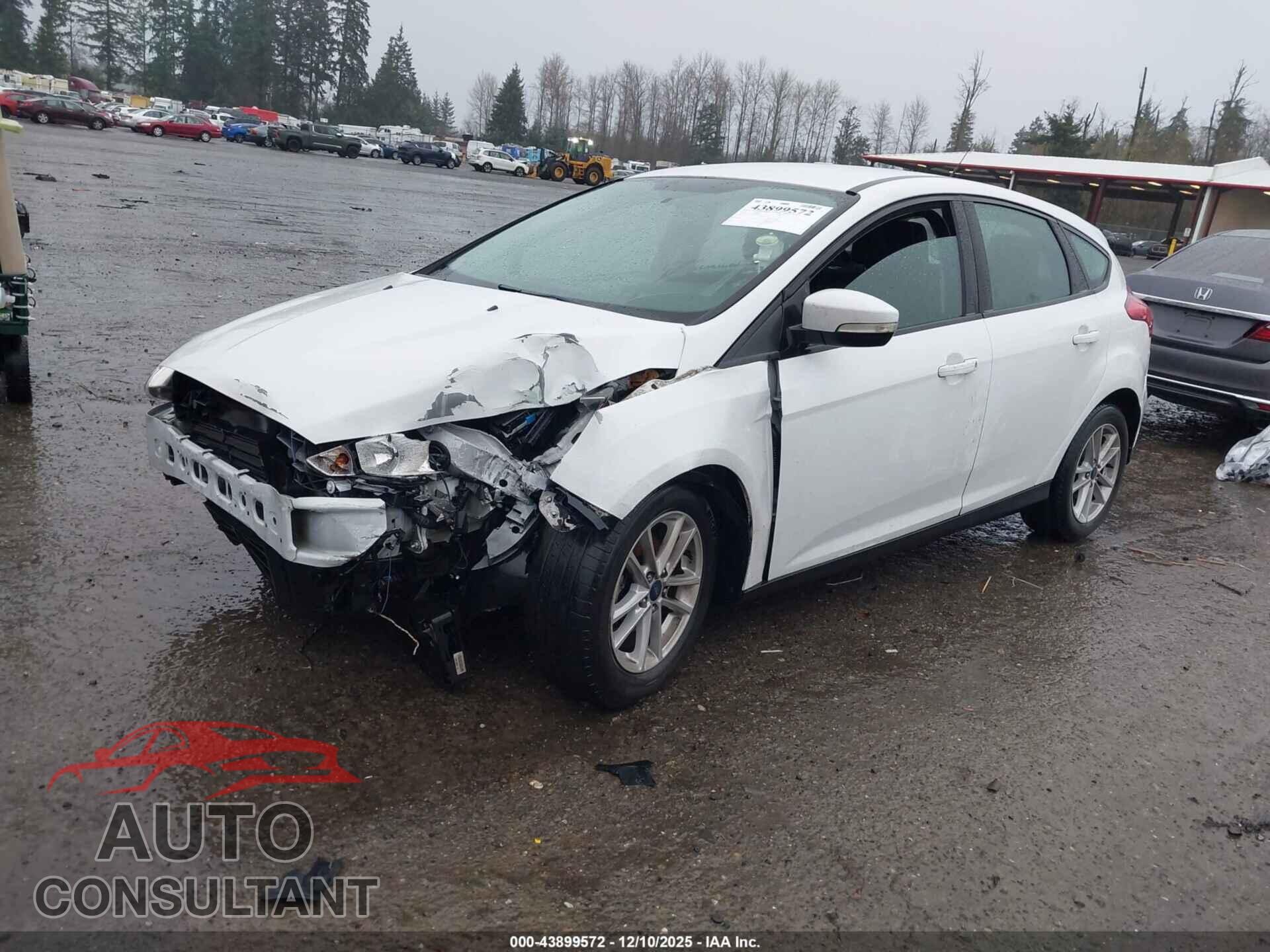 FORD FOCUS 2017 - 1FADP3K2XHL290891