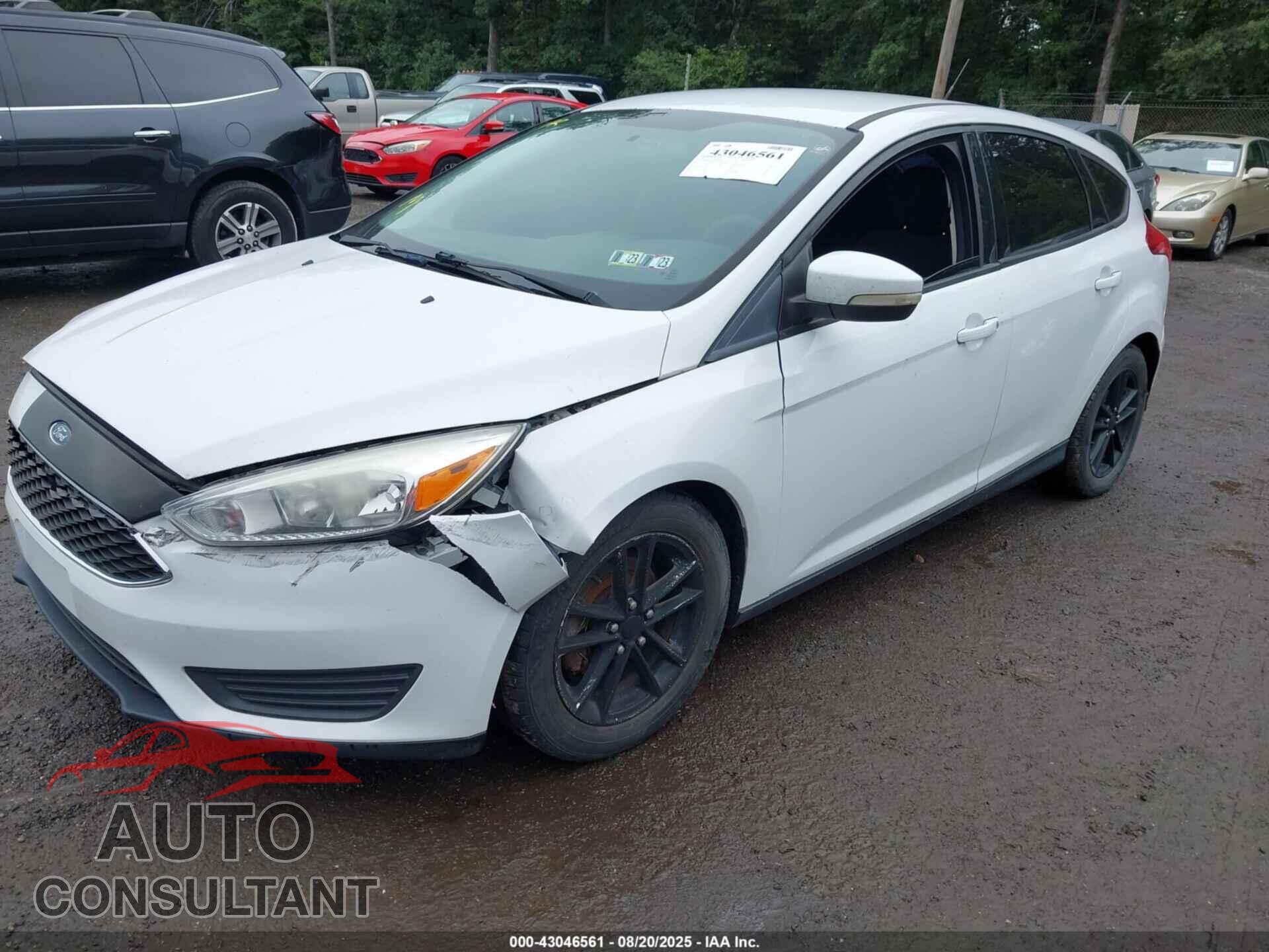 FORD FOCUS 2015 - 1FADP3K29FL383205