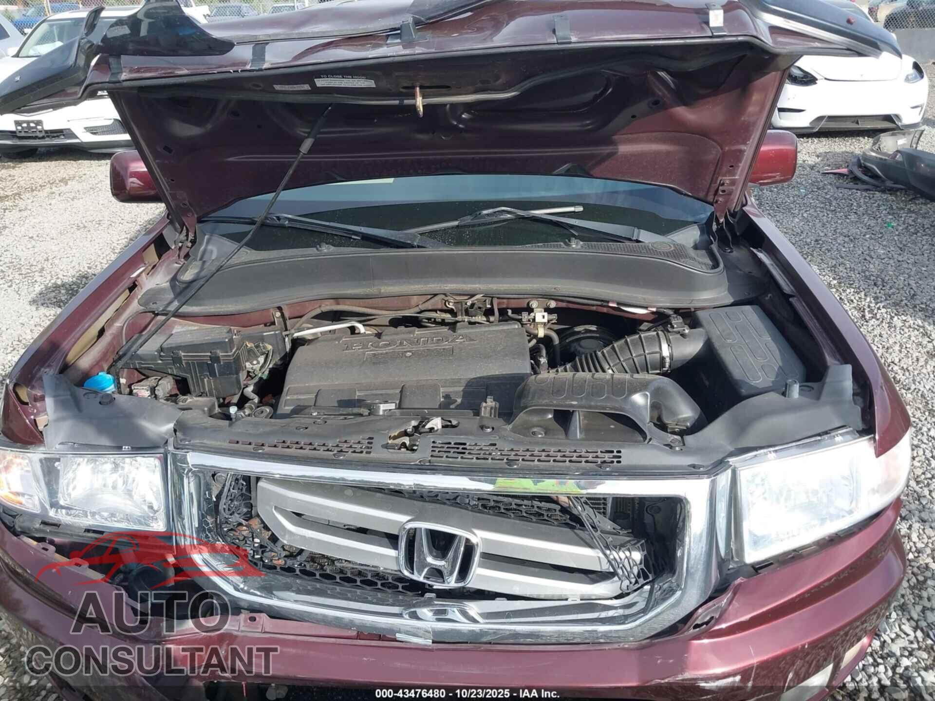 HONDA RIDGELINE 2011 - 5FPYK1F58BB009482