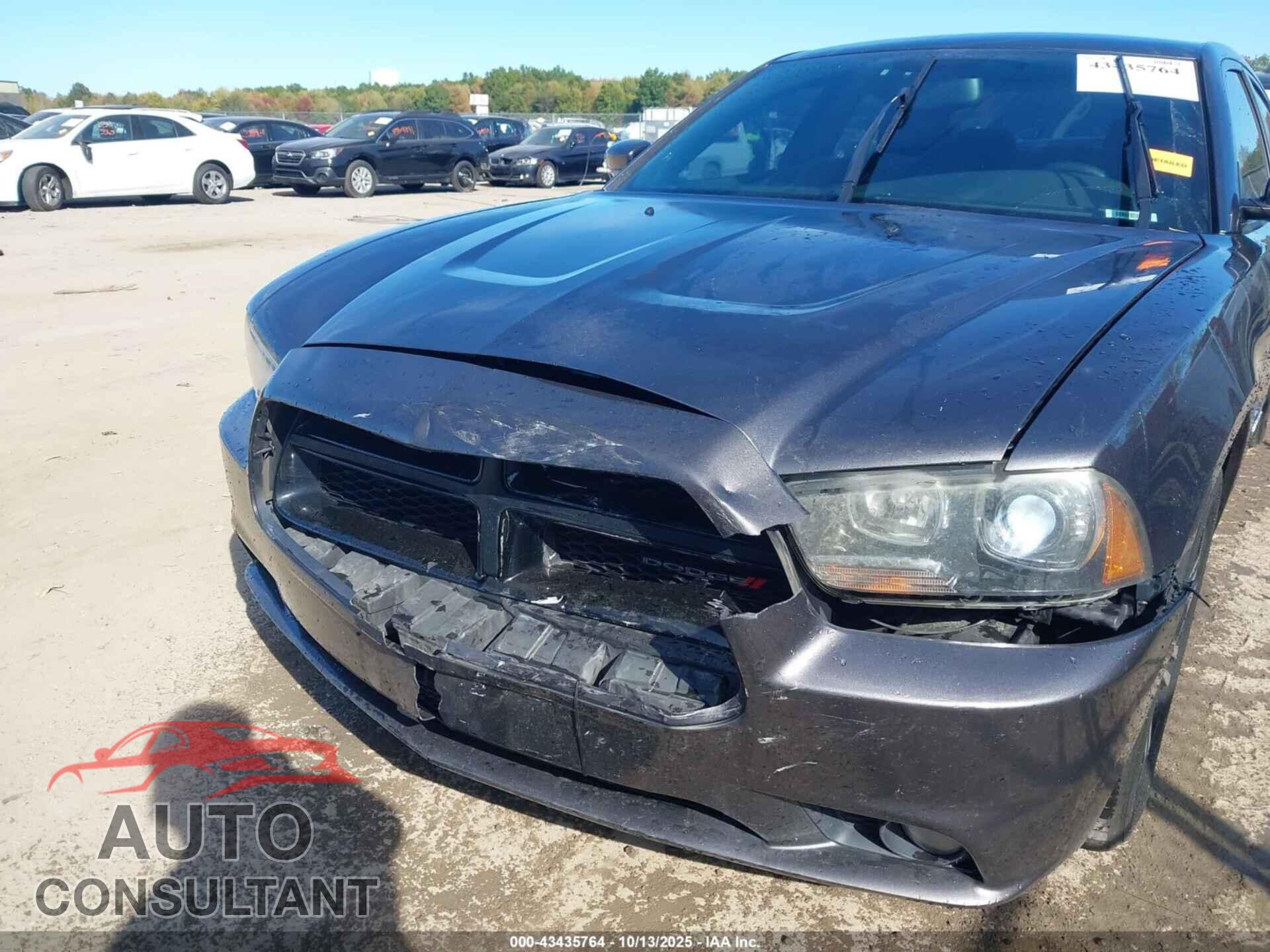 DODGE CHARGER 2014 - 2C3CDXDT8EH331771