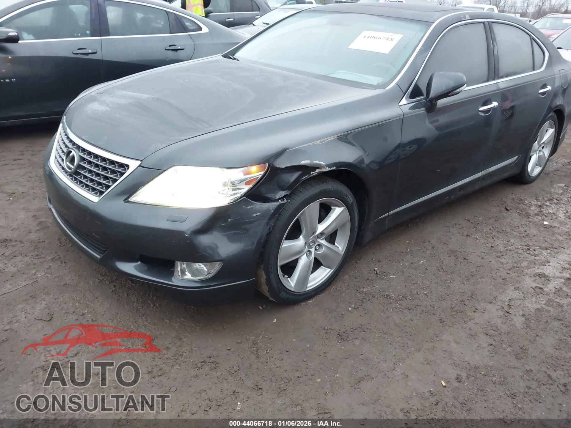 LEXUS LS 460 2011 - JTHBL5EF7B5107528