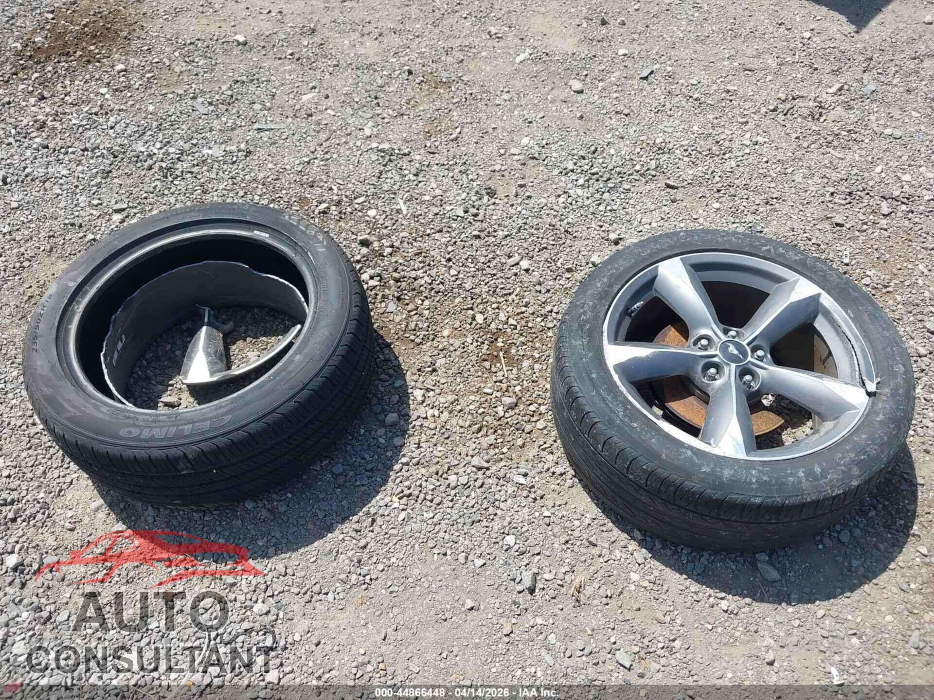 FORD MUSTANG 2011 - 1ZVBP8CF6B5155934