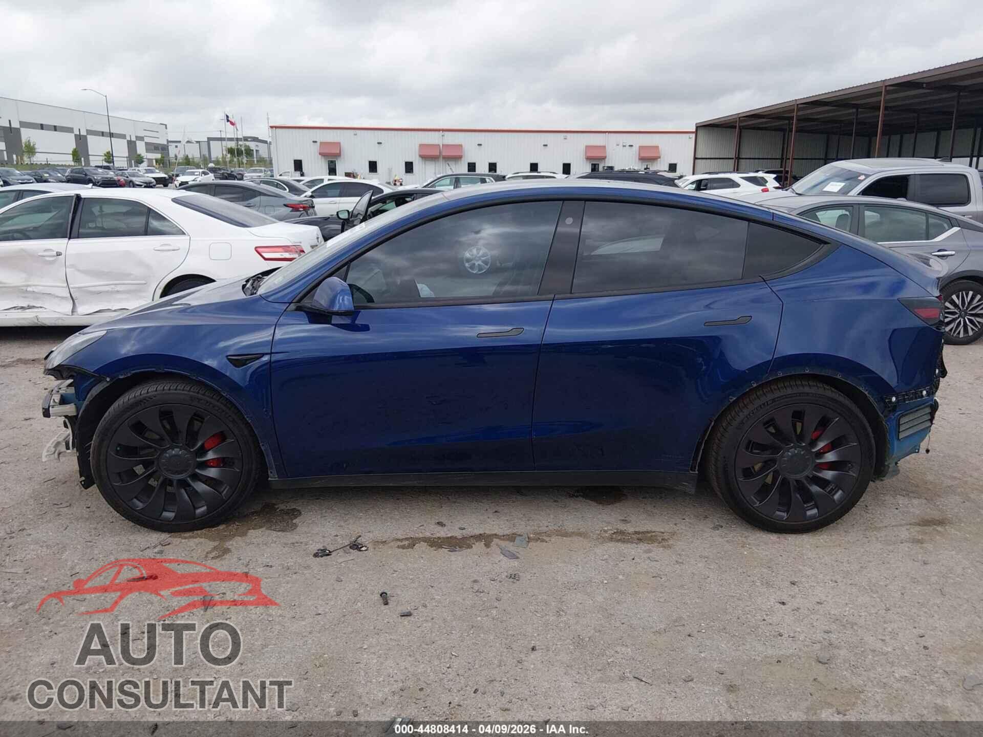 TESLA MODEL Y 2022 - 7SAYGDEFXNF311787