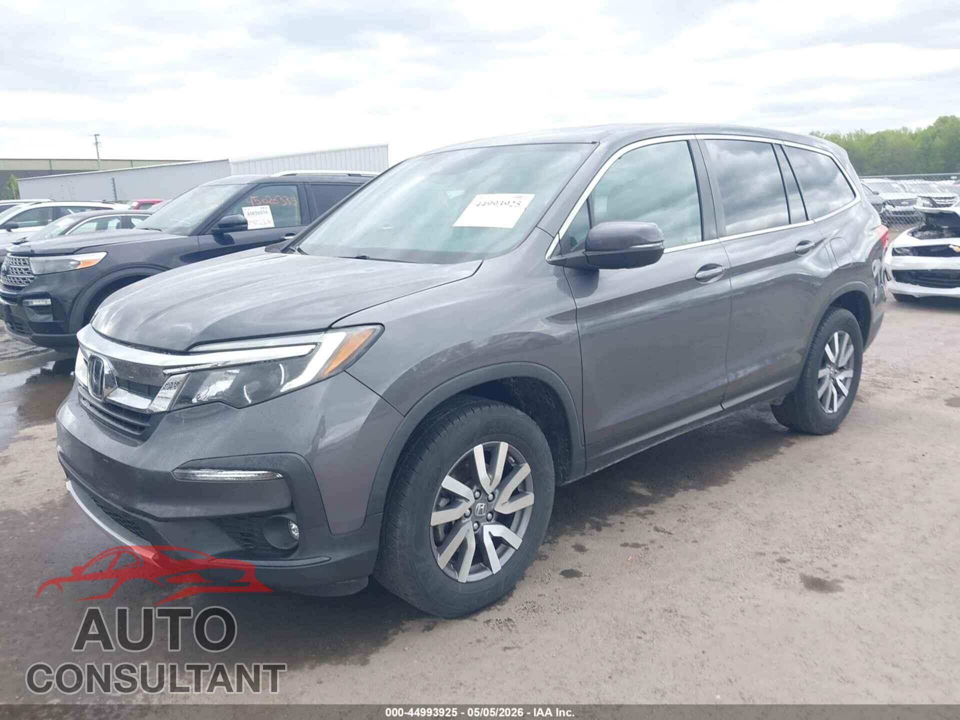 HONDA PILOT 2019 - 5FNYF6H52KB048365