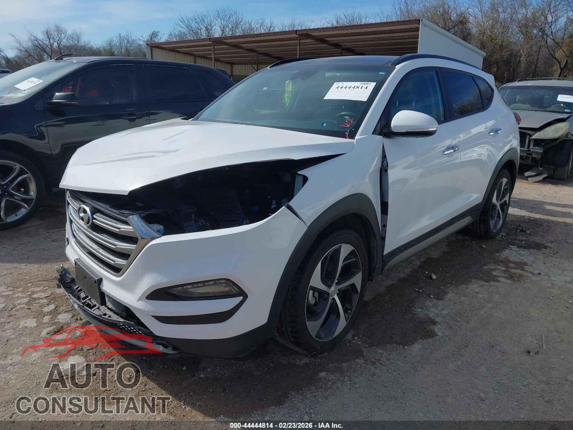 HYUNDAI TUCSON 2017 - KM8J33A24HU293706