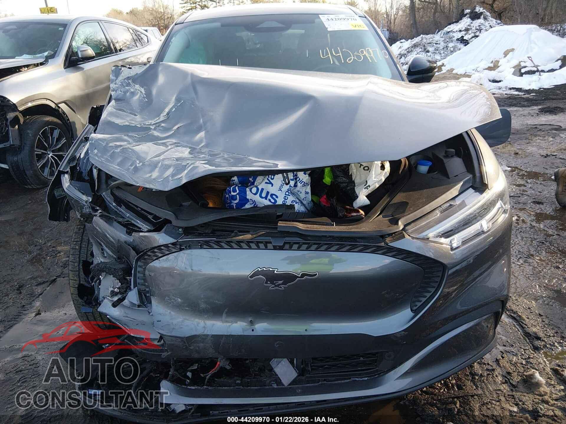 FORD MUSTANG MACH-E 2023 - 3FMTK1SSXPMA00506