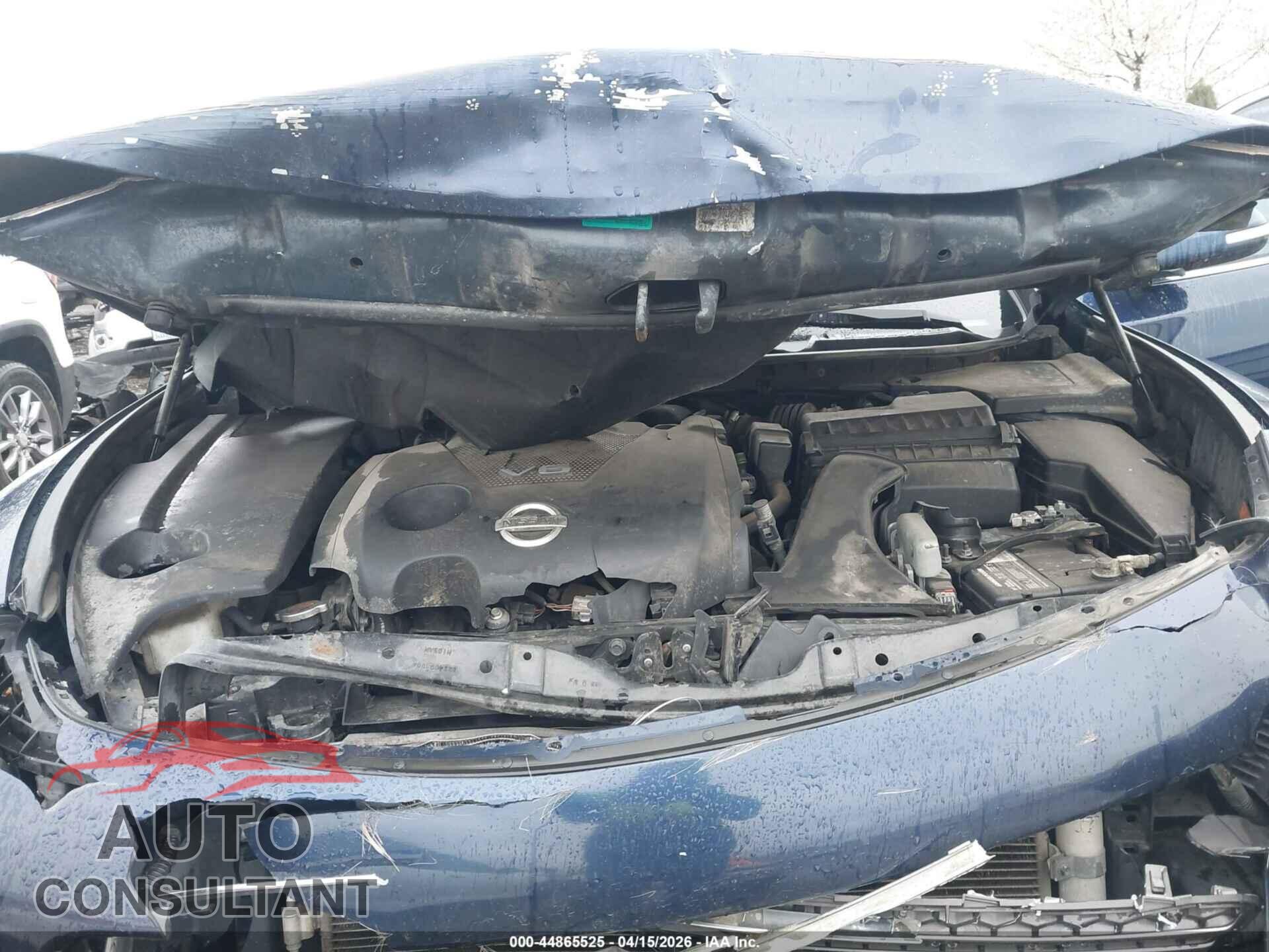 NISSAN MAXIMA 2009 - 1N4AA51E69C820965
