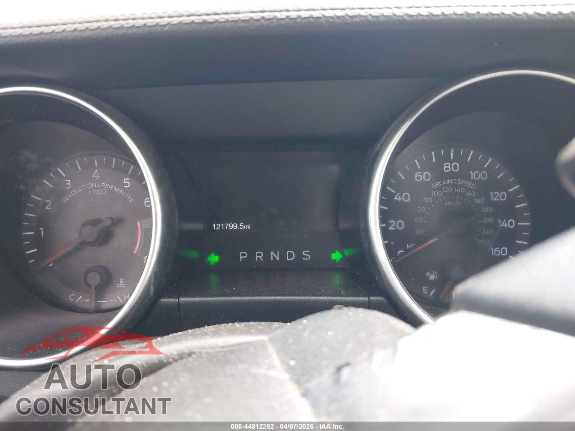 FORD MUSTANG 2019 - 1FA6P8TH3K5168202