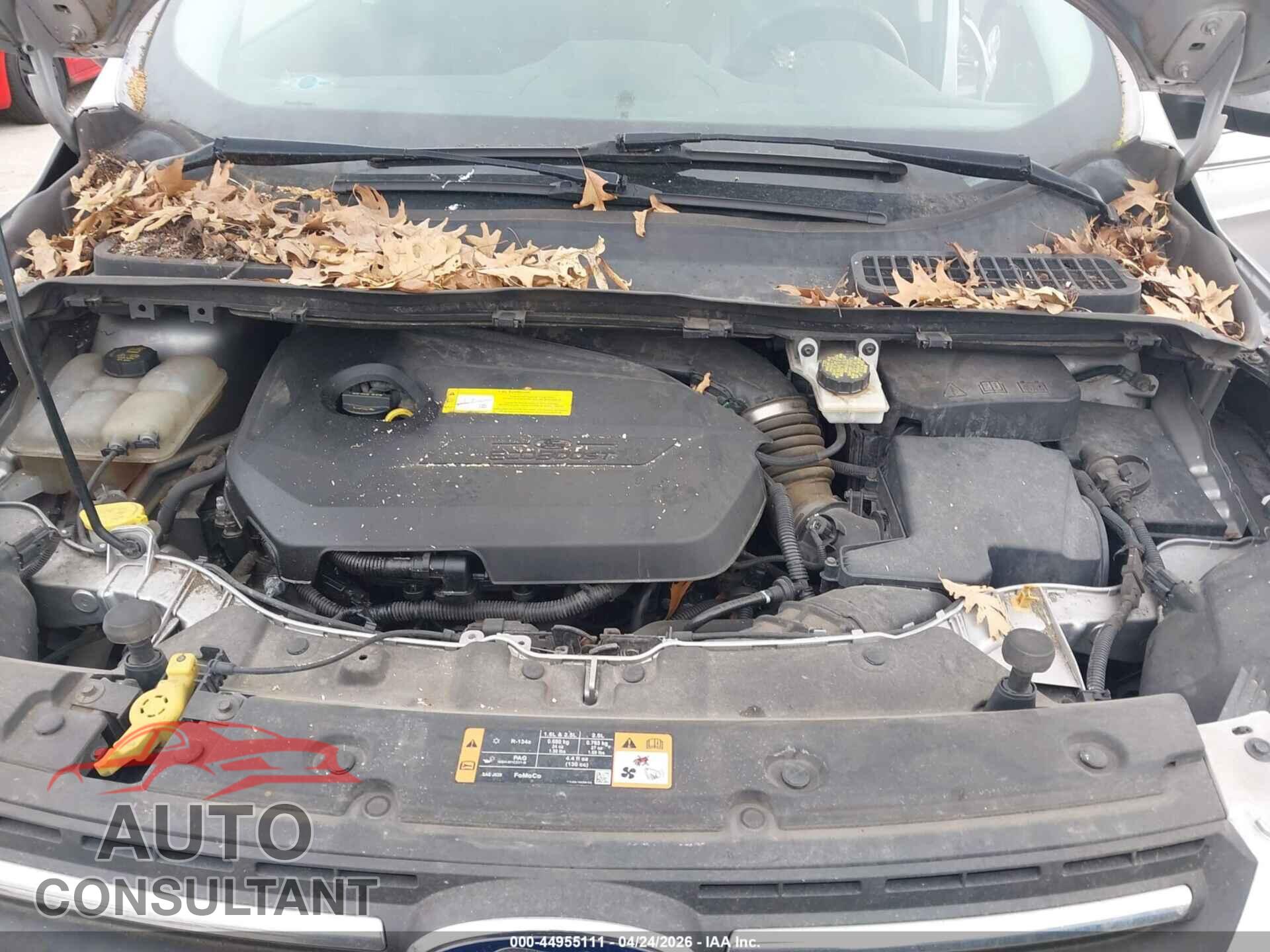 FORD ESCAPE 2016 - 1FMCU9GX4GUB32458