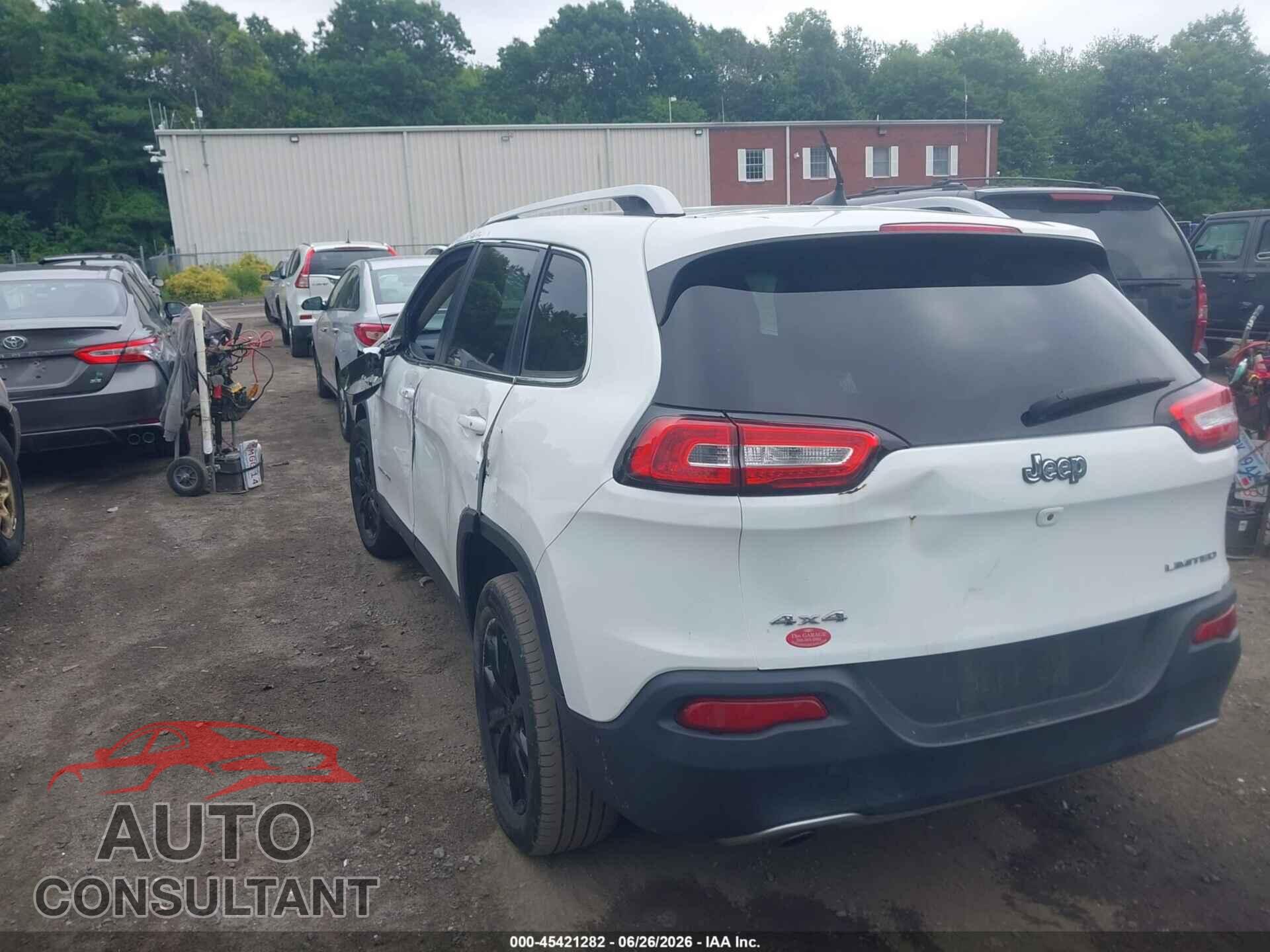 JEEP CHEROKEE 2016 - 1C4PJMDB9GW244994