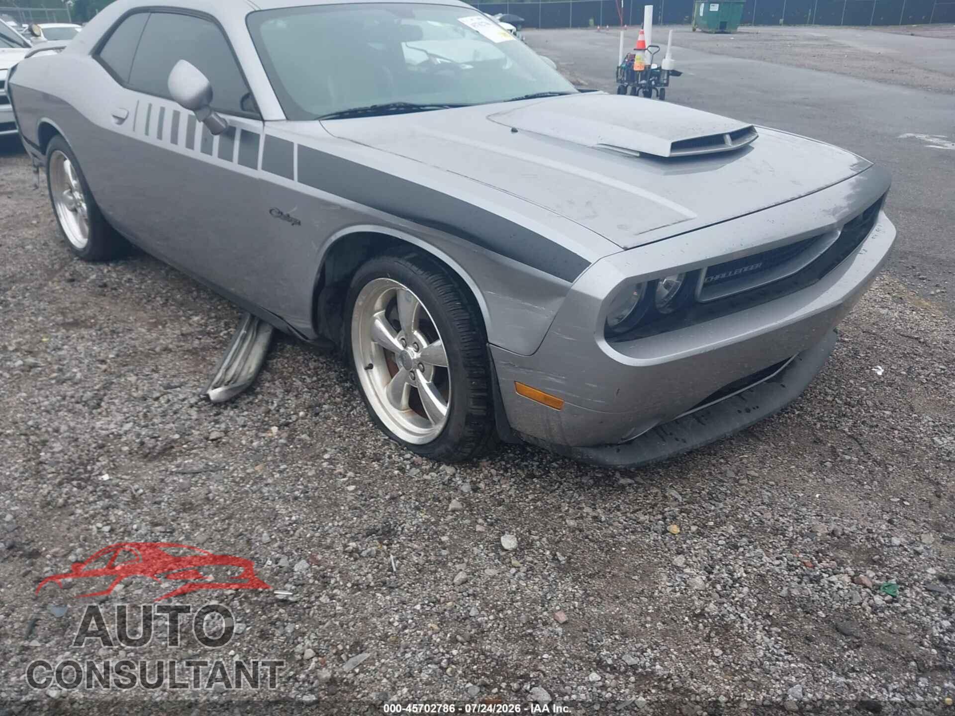 DODGE CHALLENGER 2013 - 2C3CDYBT3DH629281