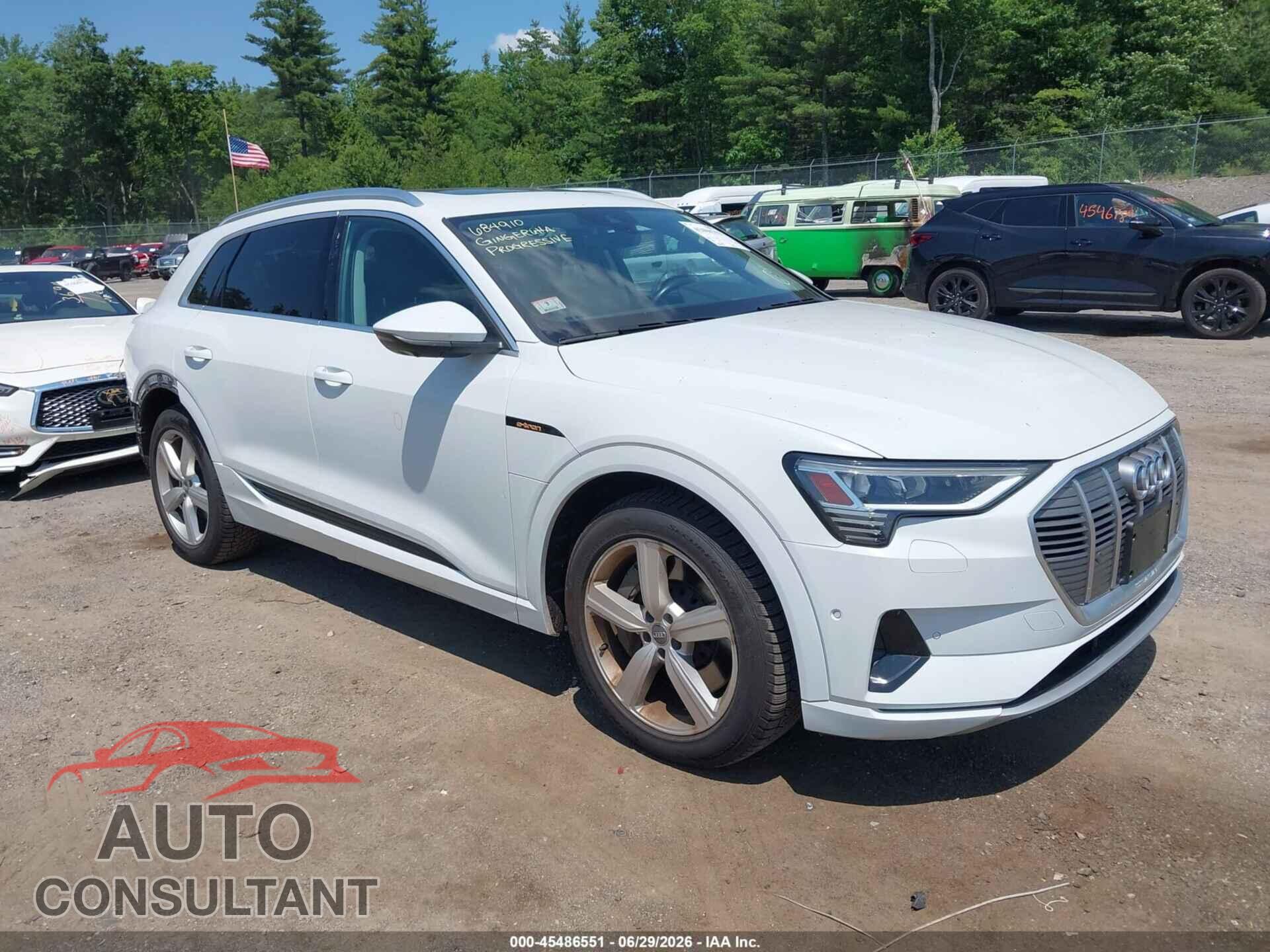AUDI E-TRON 2019 - WA1LAAGEXKB022848