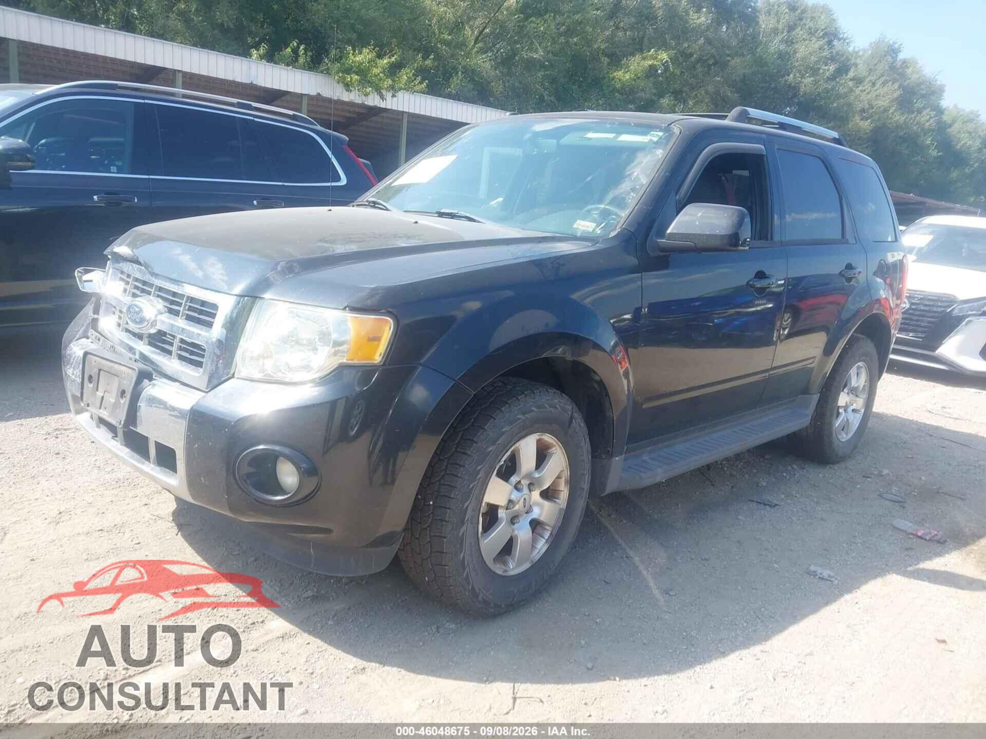 FORD ESCAPE 2011 - 1FMCU9EG3BKC51237