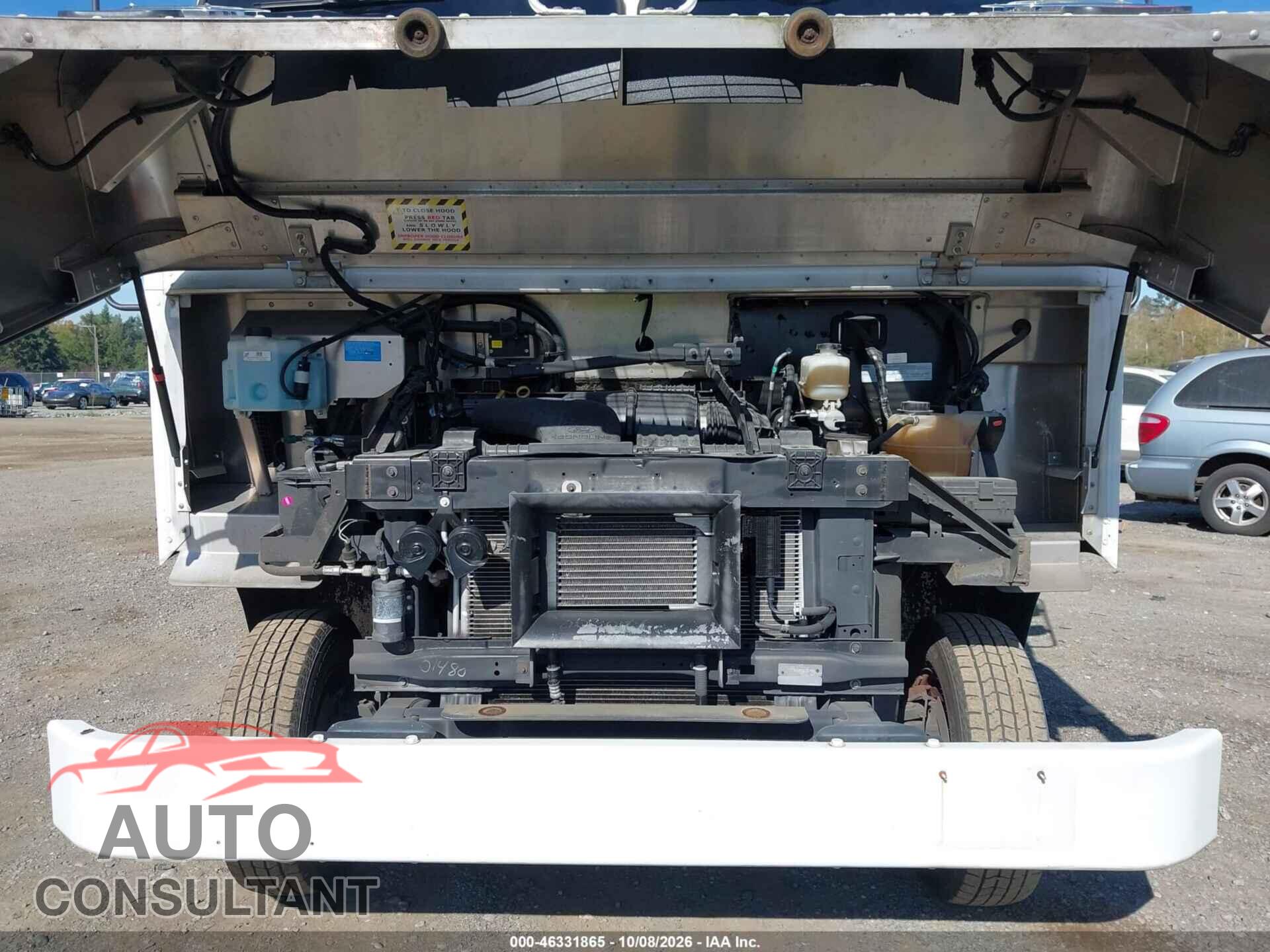 FORD E-350 STRIPPED 2019 - 1FC3E3K66KDC01480