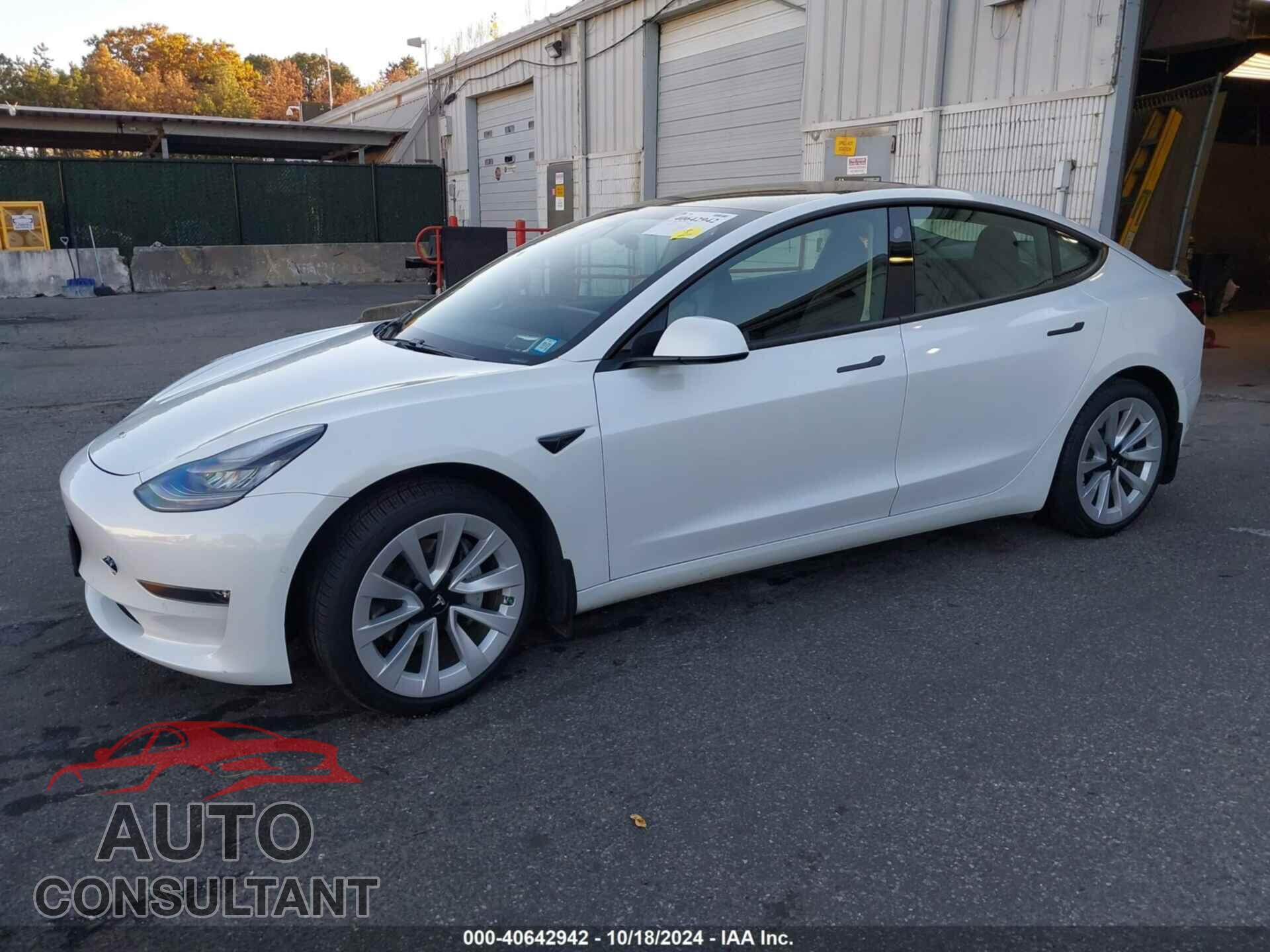 TESLA MODEL 3 2021 - 5YJ3E1EBXMF855729