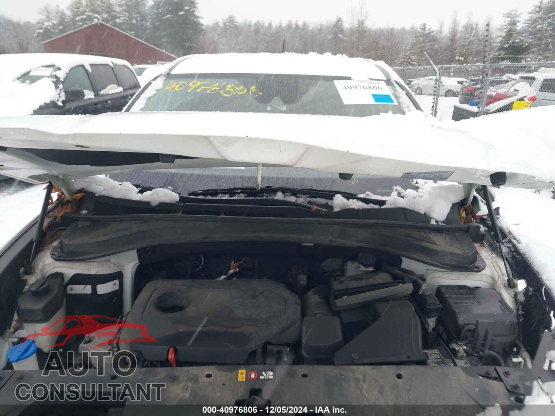 HYUNDAI SANTA FE 2019 - 5NMS2CAD3KH072142
