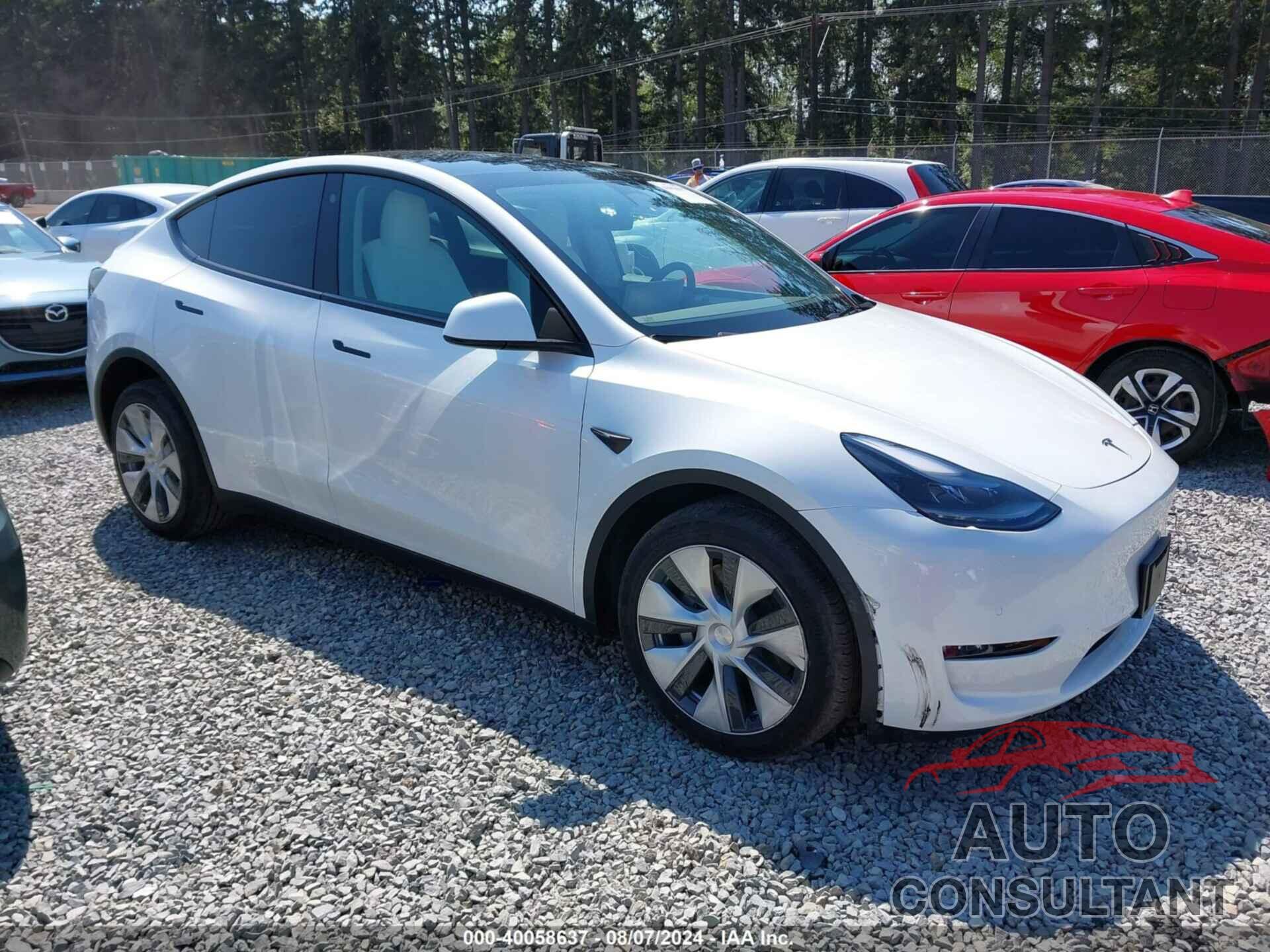 TESLA MODEL Y 2022 - 7SAYGAEE7NF538005