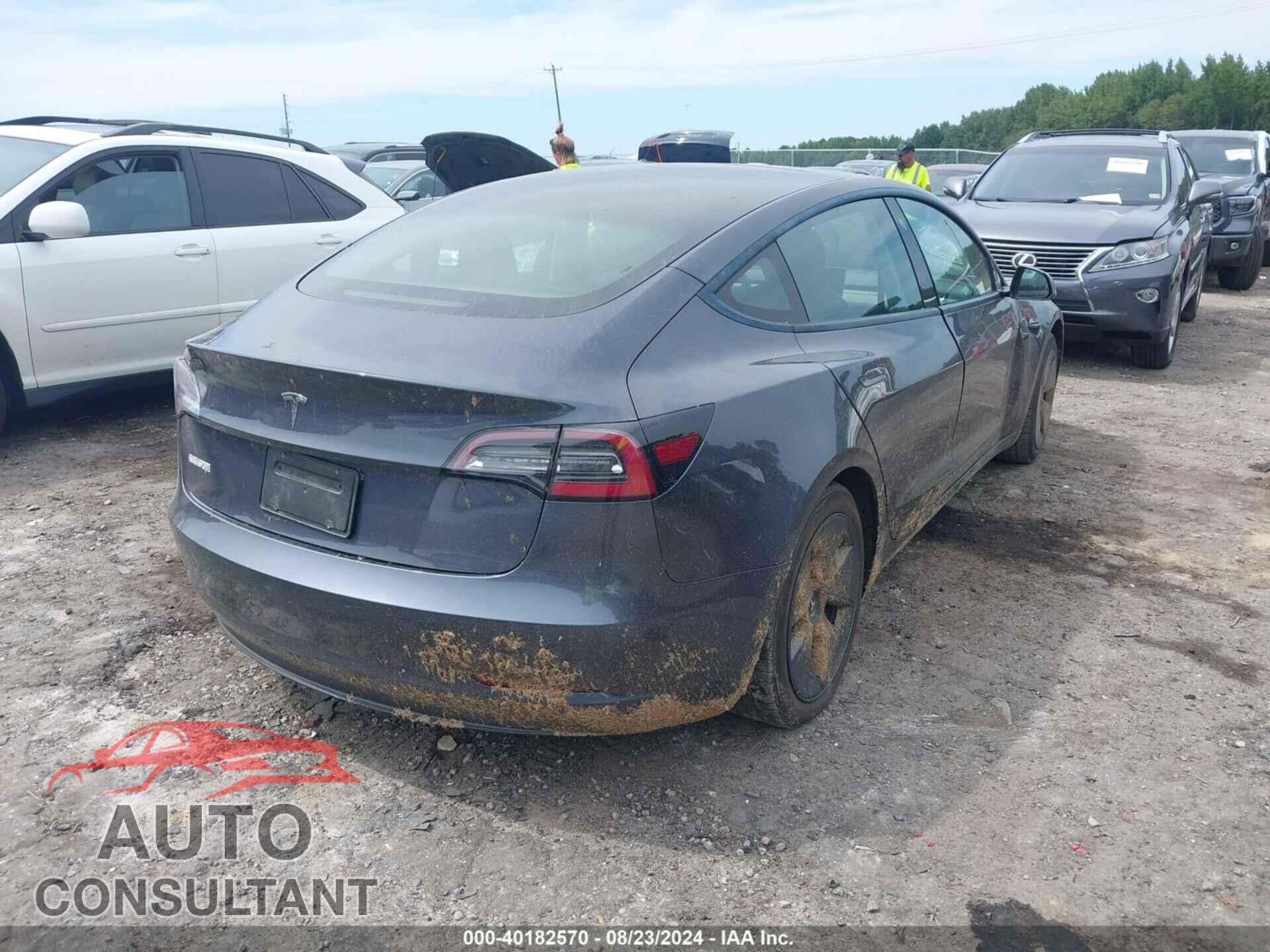 TESLA MODEL 3 2021 - 5YJ3E1EAXMF091646