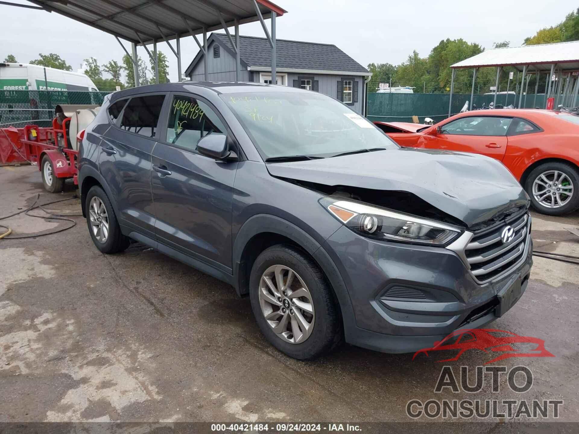 HYUNDAI TUCSON 2017 - KM8J23A44HU290437