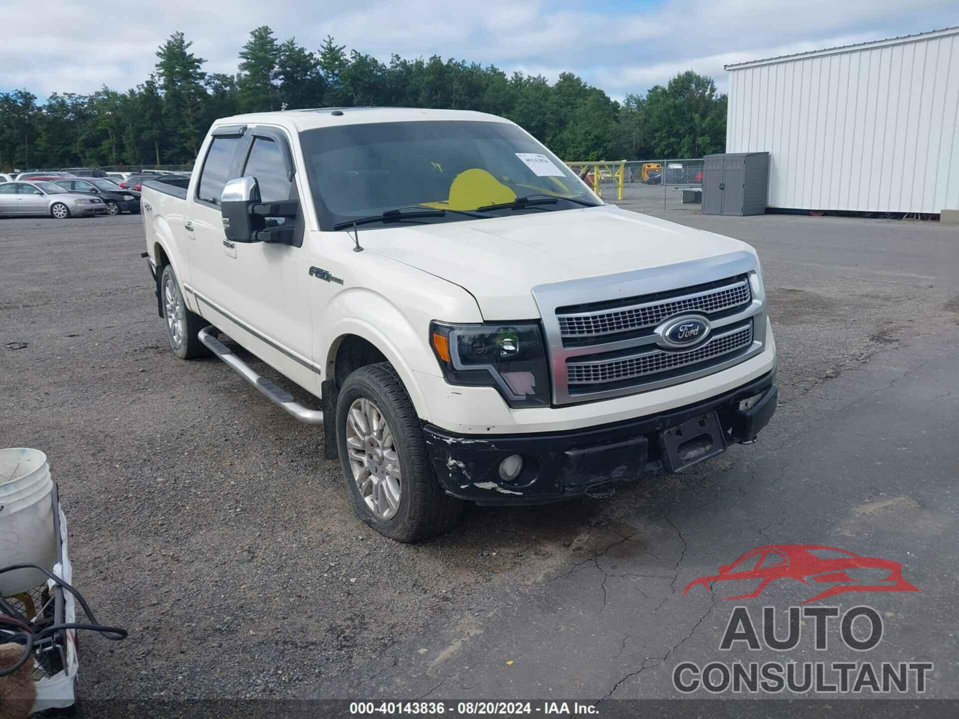 FORD F-150 2009 - 1FTPW14V99FA40631