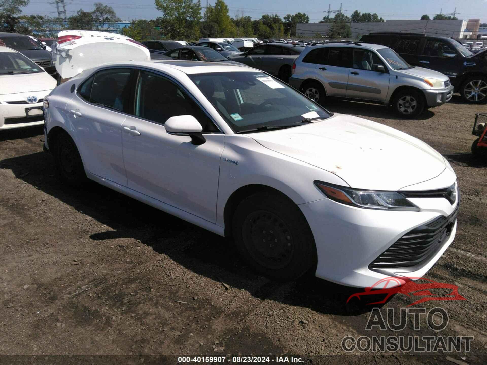 TOYOTA CAMRY HYBRID 2019 - 4T1B31HK9KU007032