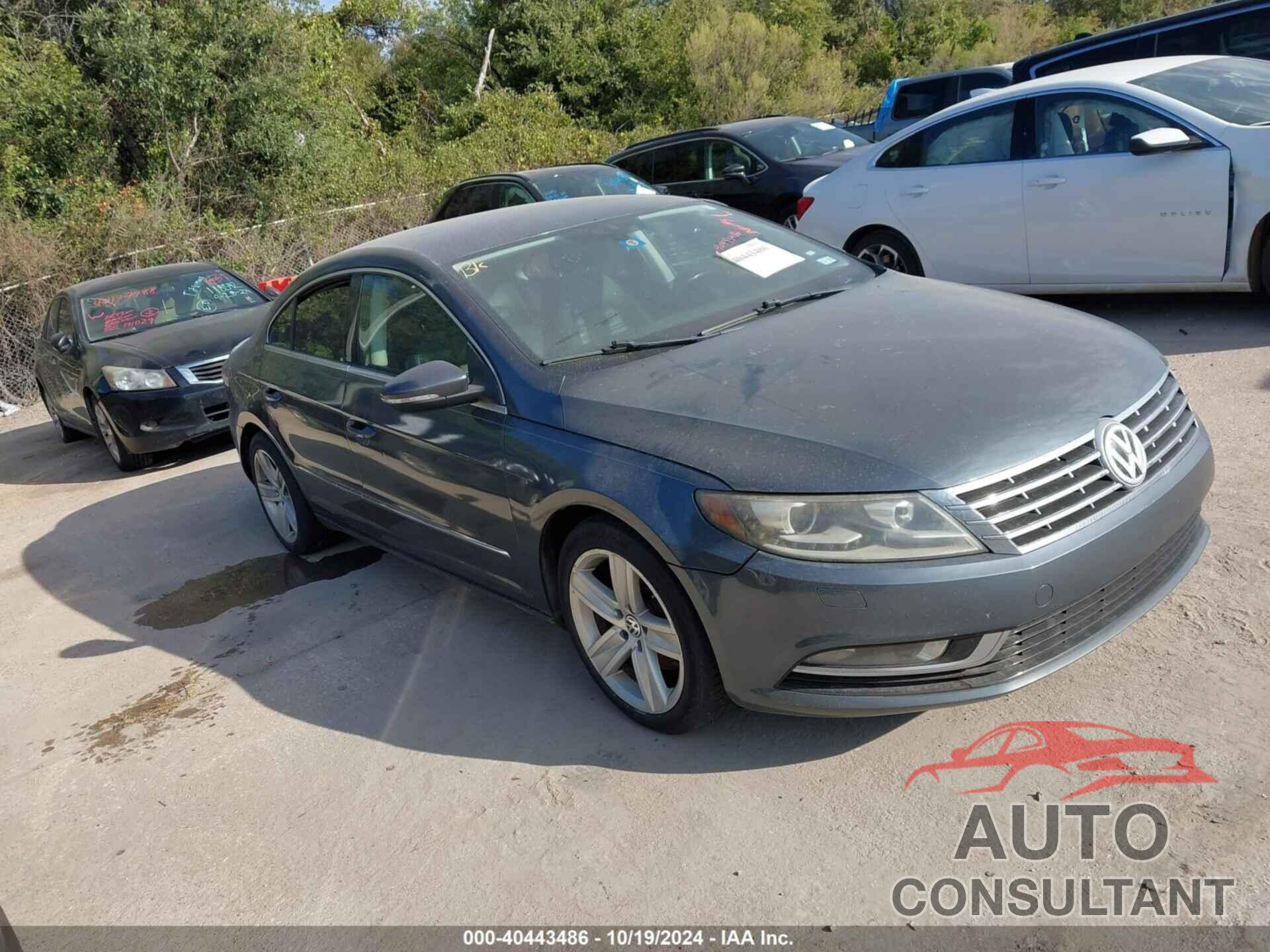 VOLKSWAGEN CC 2013 - WVWBN7AN1DE504028