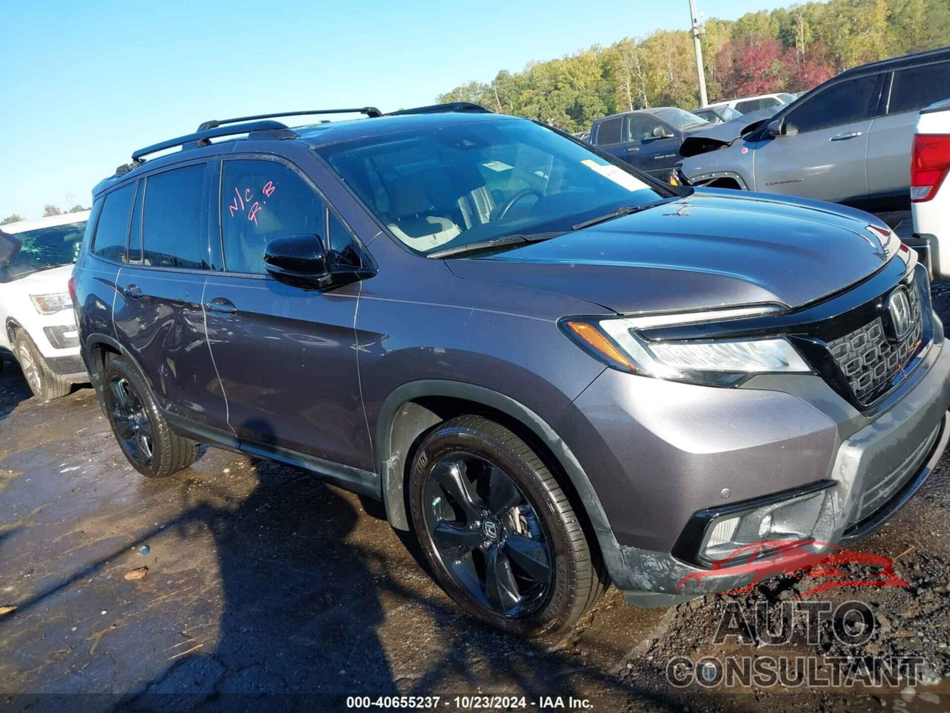 HONDA PASSPORT 2019 - 5FNYF8H02KB008447