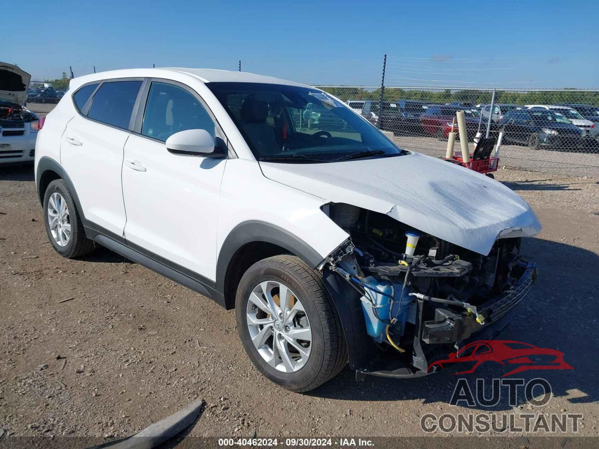 HYUNDAI TUCSON 2019 - KM8J2CA41KU917120