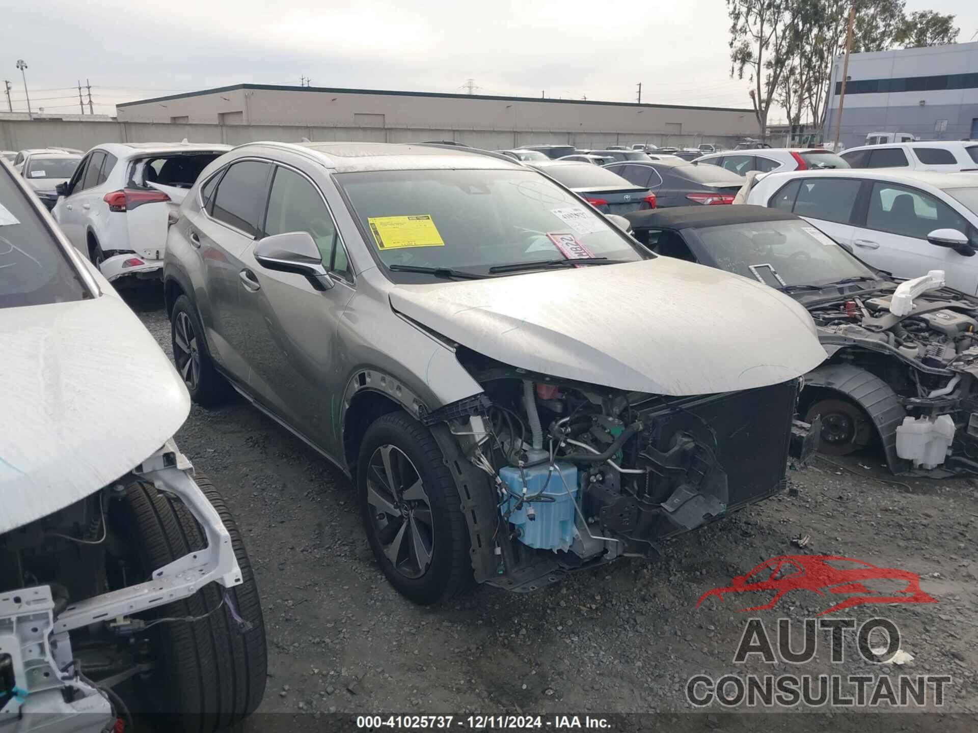 LEXUS NX 300 2019 - JTJYARBZ9K2147163