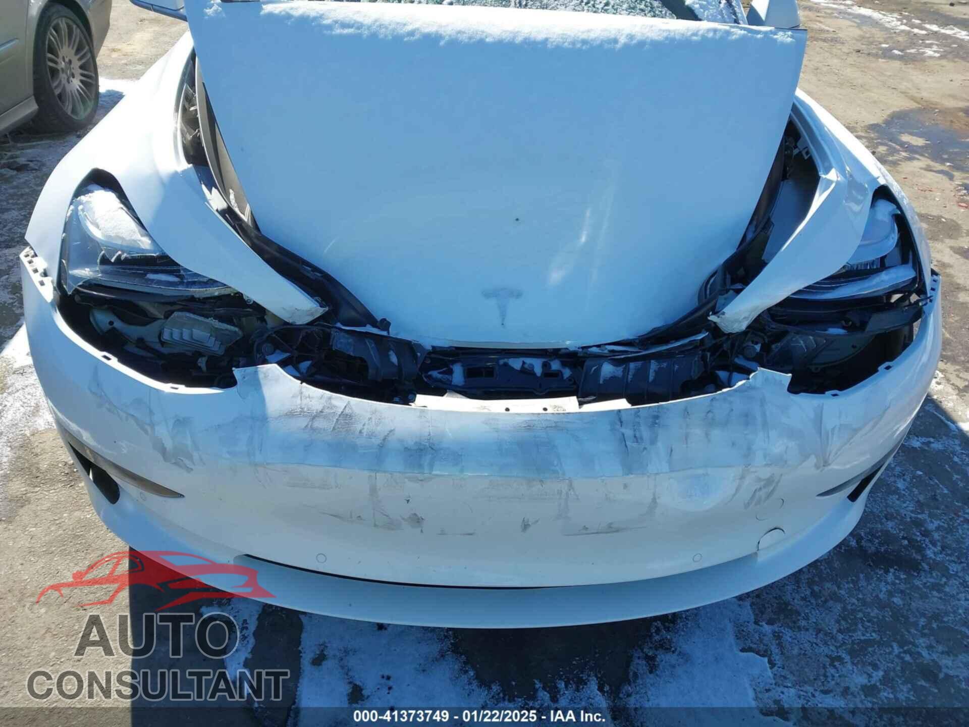 TESLA MODEL 3 2019 - 5YJ3E1EA1KF430775