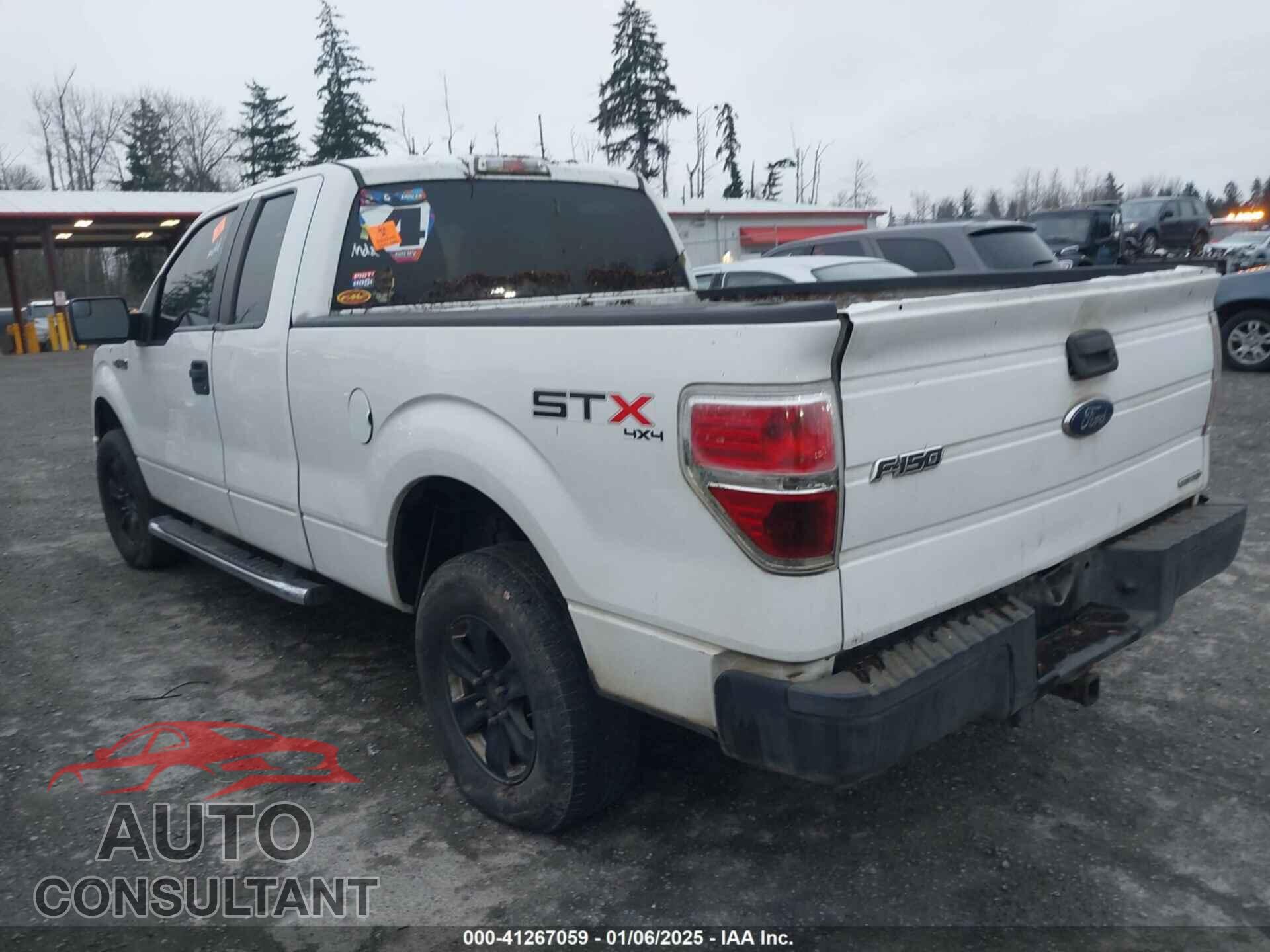 FORD F-150 2013 - 1FTFX1EF9DFB36770