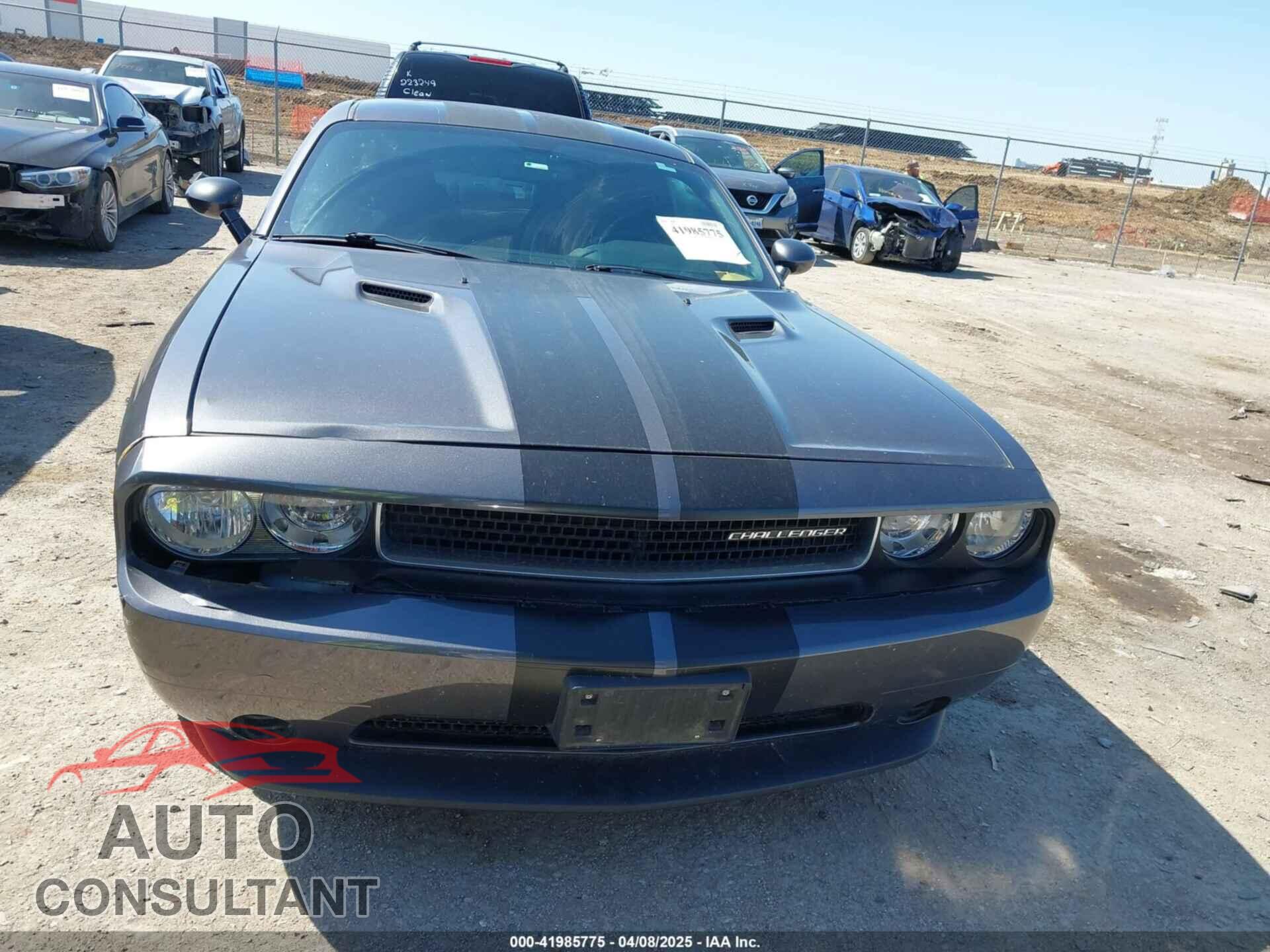 DODGE CHALLENGER 2013 - 2C3CDYAG9DH724917
