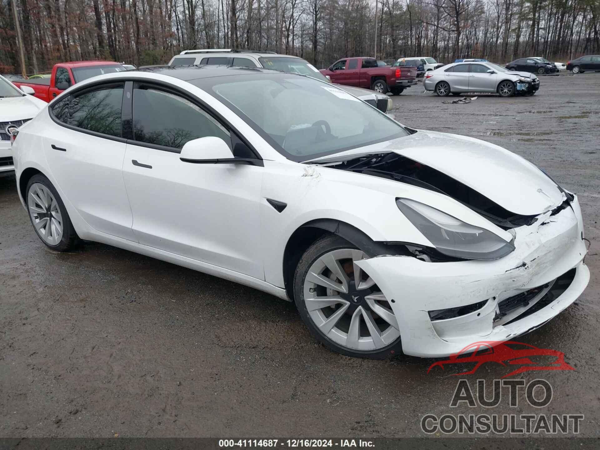 TESLA MODEL 3 2021 - 5YJ3E1EA2MF098591