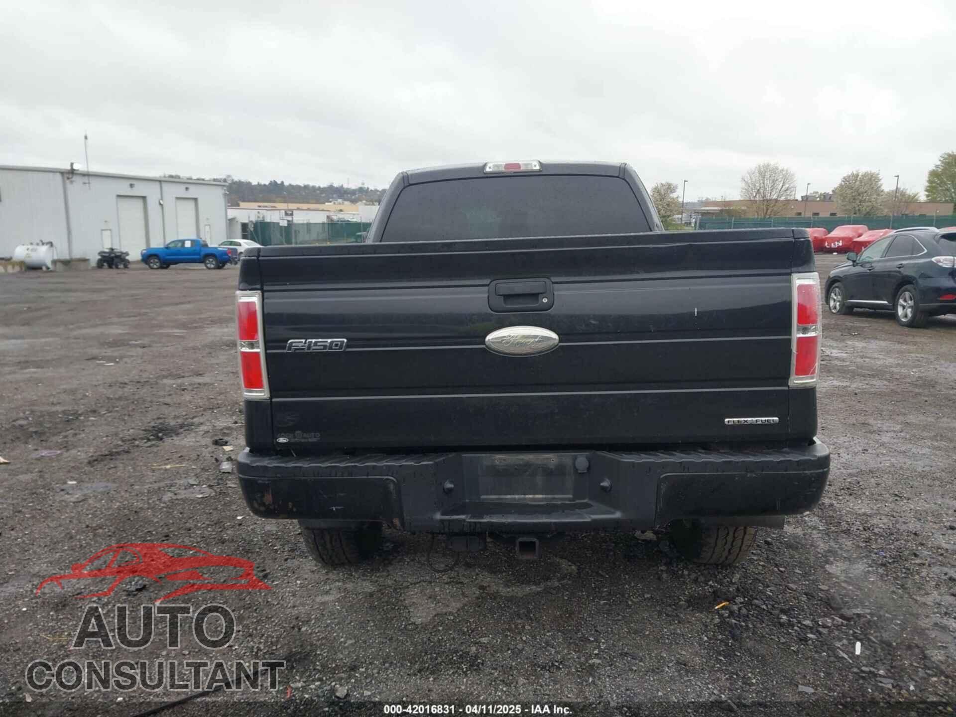 FORD F-150 2013 - 1FTFX1EF3DFD51982