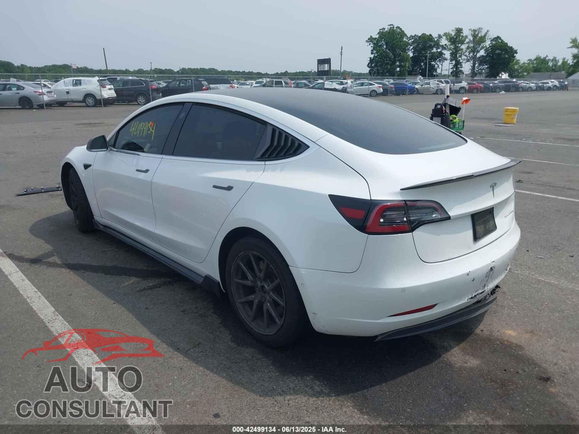 TESLA MODEL 3 2019 - 5YJ3E1EB2KF452003