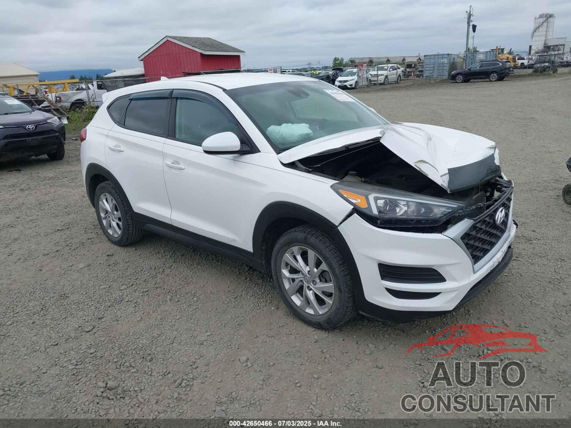 HYUNDAI TUCSON 2019 - KM8J2CA45KU952758
