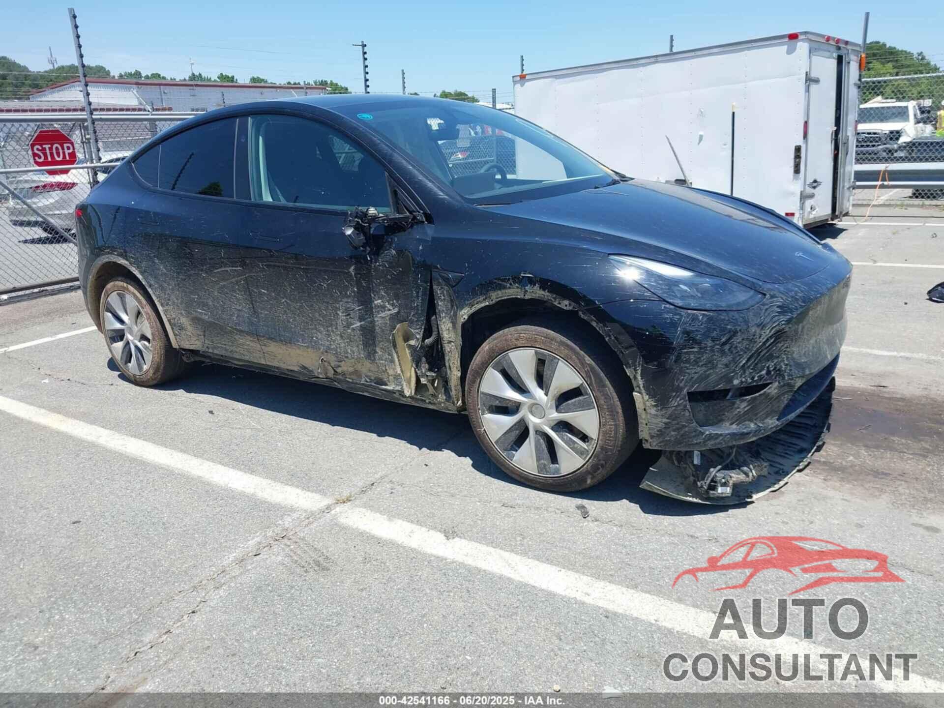 TESLA MODEL Y 2024 - 7SAYGDEE0RF986660