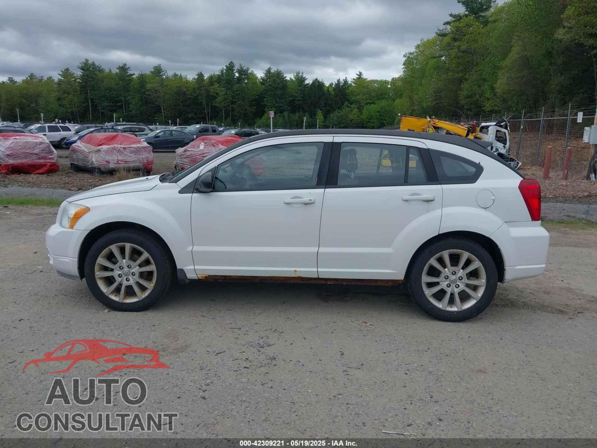 DODGE CALIBER 2011 - 1B3CB5HA5BD186441