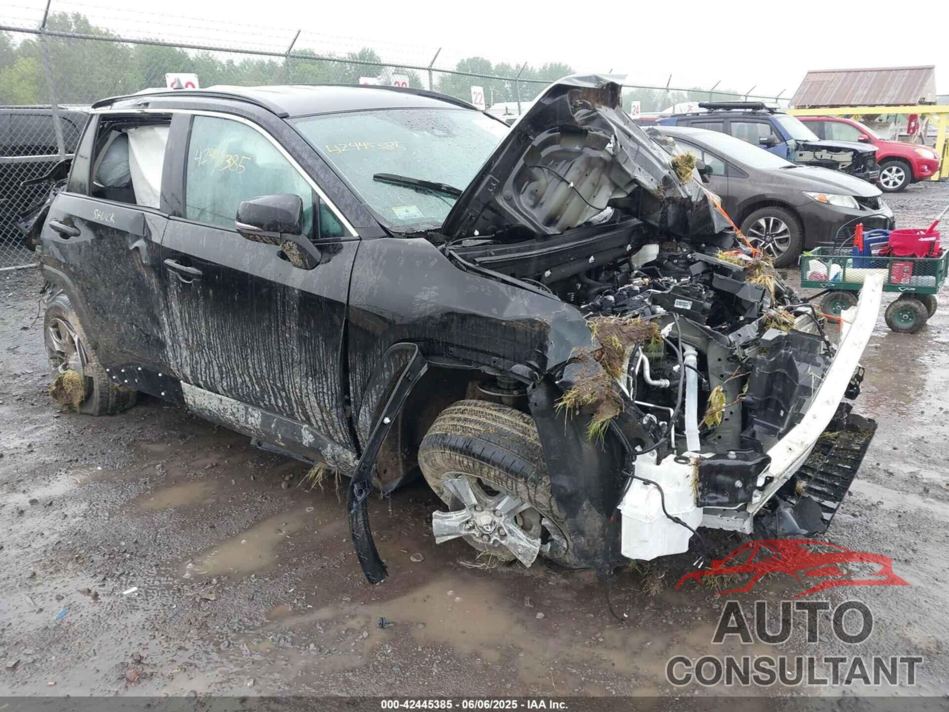 TOYOTA RAV4 2023 - 2T3P1RFV8PC373362