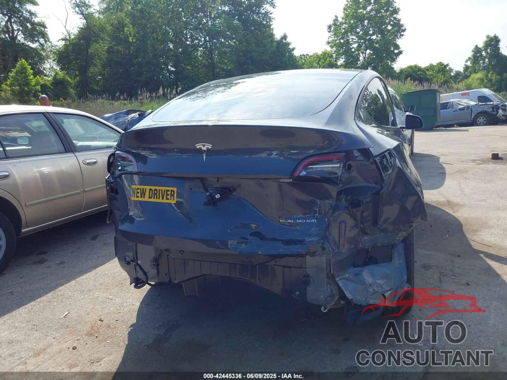 TESLA MODEL Y 2021 - 5YJYGAEE7MF146315