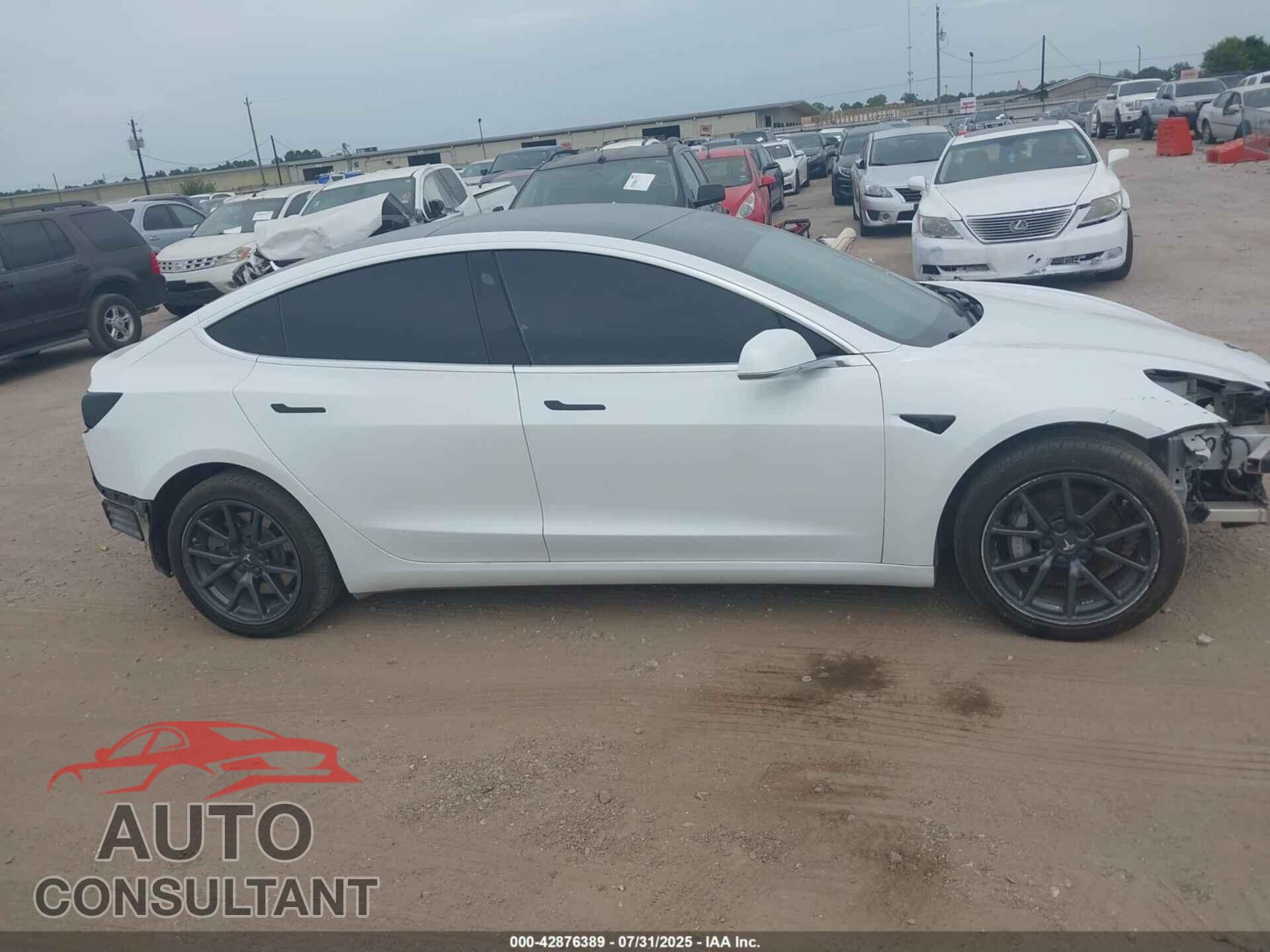 TESLA MODEL 3 2019 - 5YJ3E1EA5KF486587
