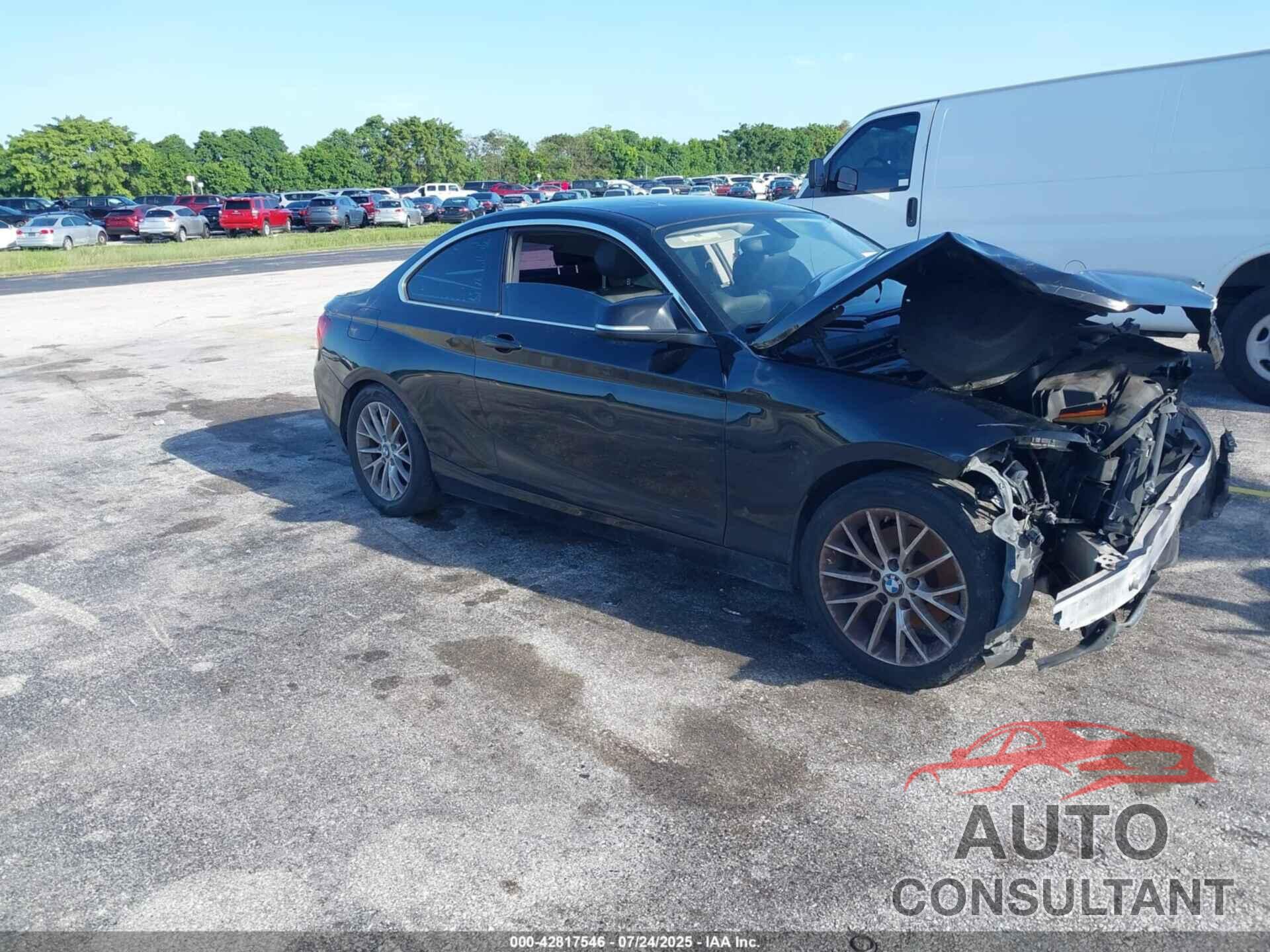 BMW 228I 2014 - WBA1F5C55EV256097