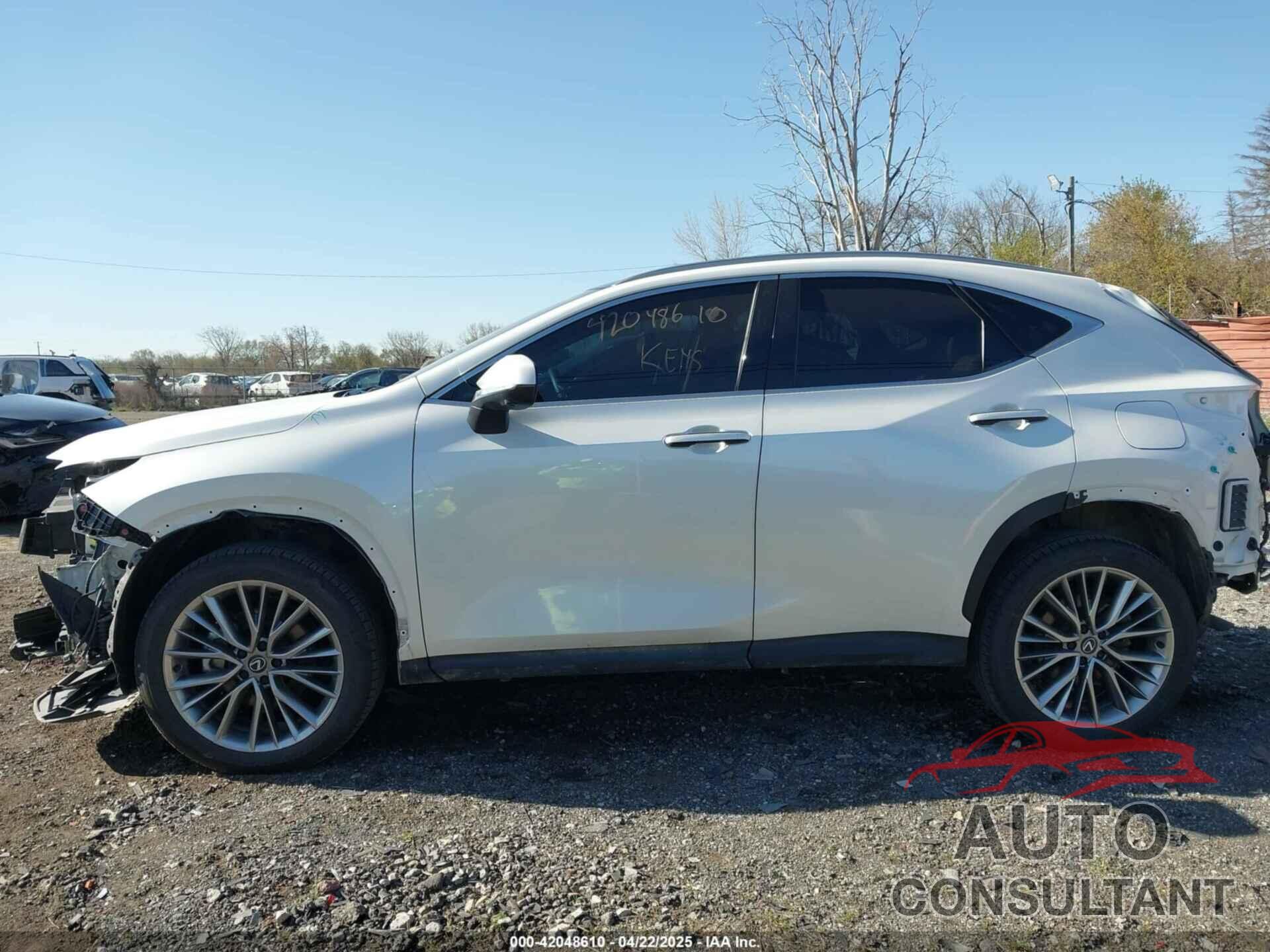 LEXUS NX 350H 2024 - JTJHKCEZ0R2038512