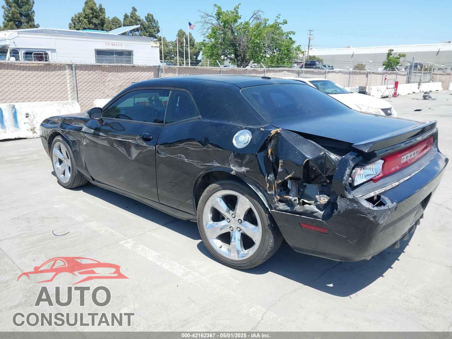 DODGE CHALLENGER 2013 - 2C3CDYAG7DH653555