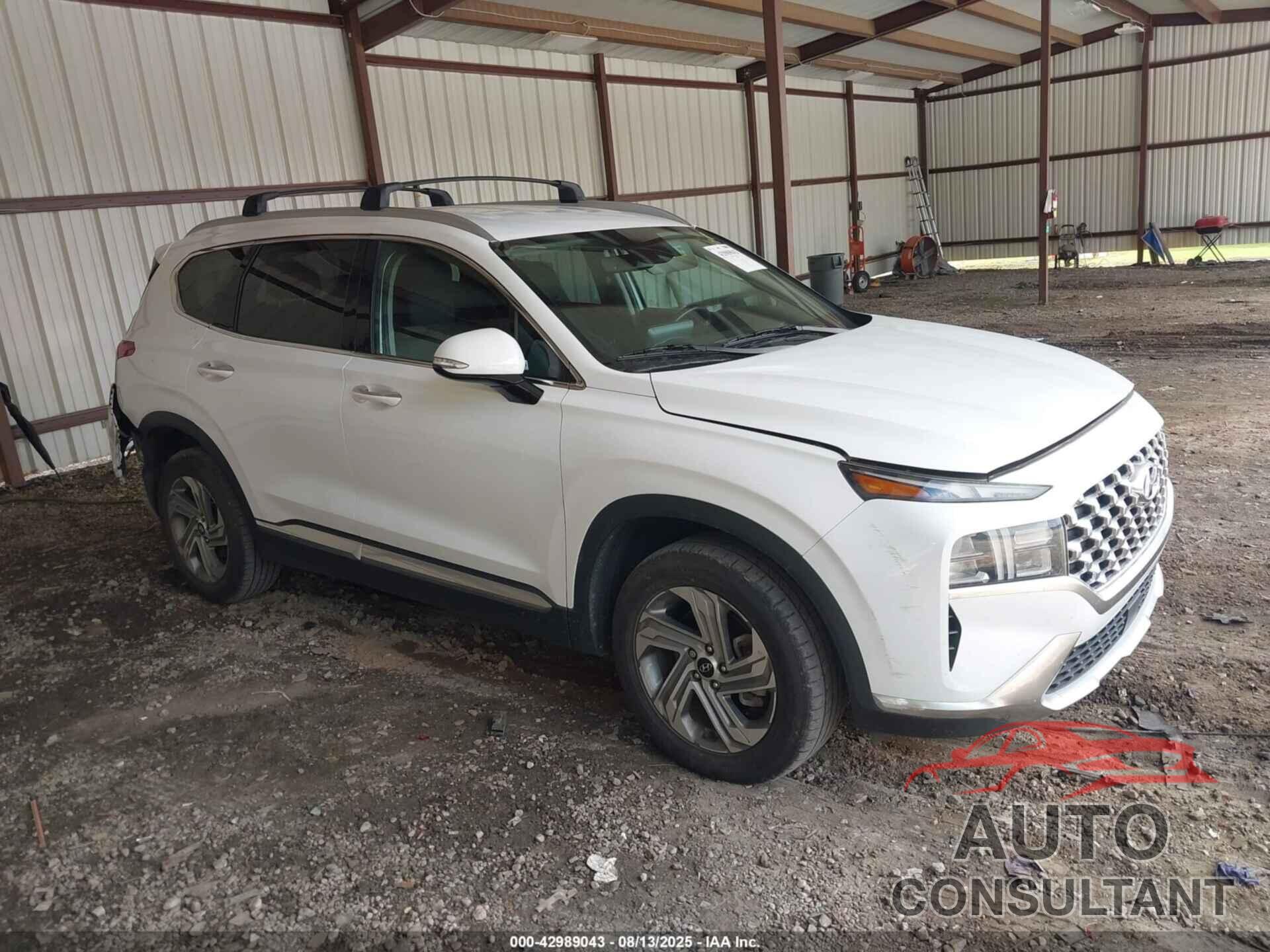 HYUNDAI SANTA FE 2022 - 5NMS64AJ2NH390435