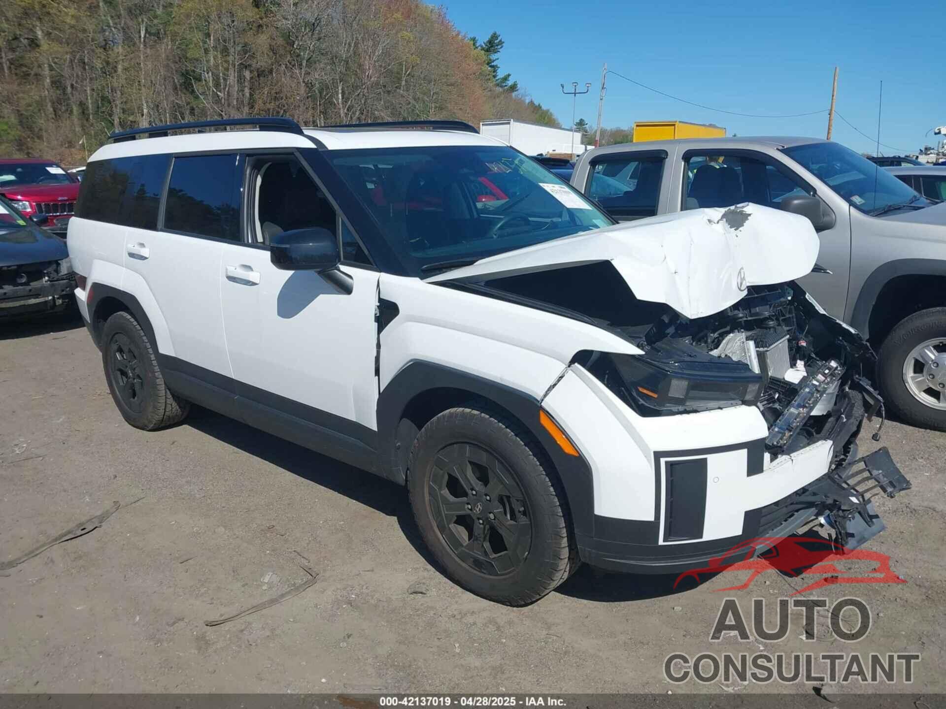 HYUNDAI SANTA FE 2024 - 5NMP3DGL6RH009814