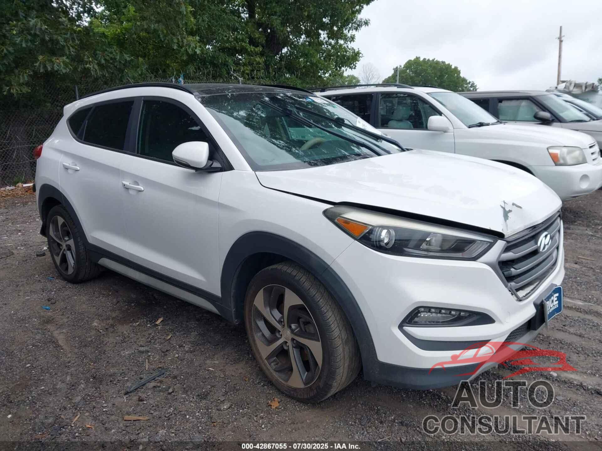 HYUNDAI TUCSON 2017 - KM8J33A23HU582317